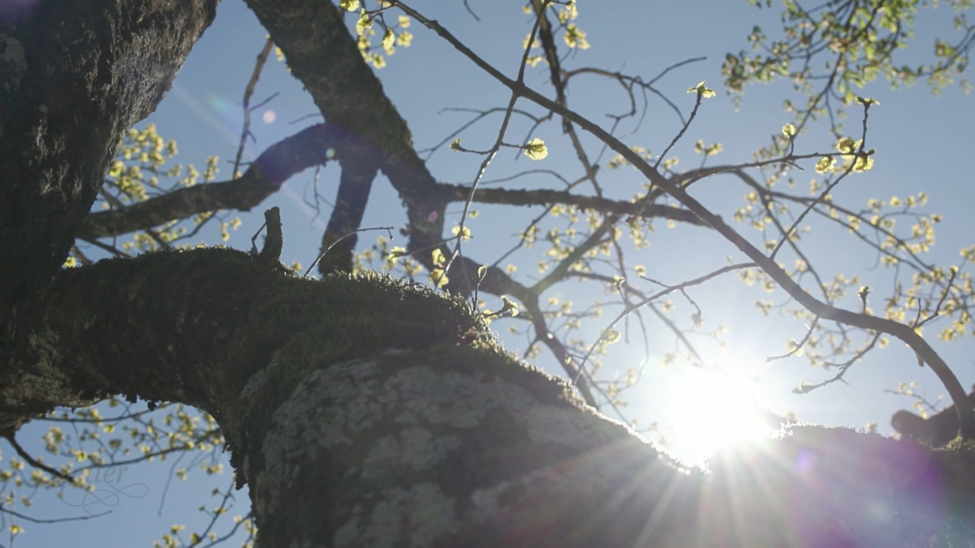 24. April - Servus Wetter