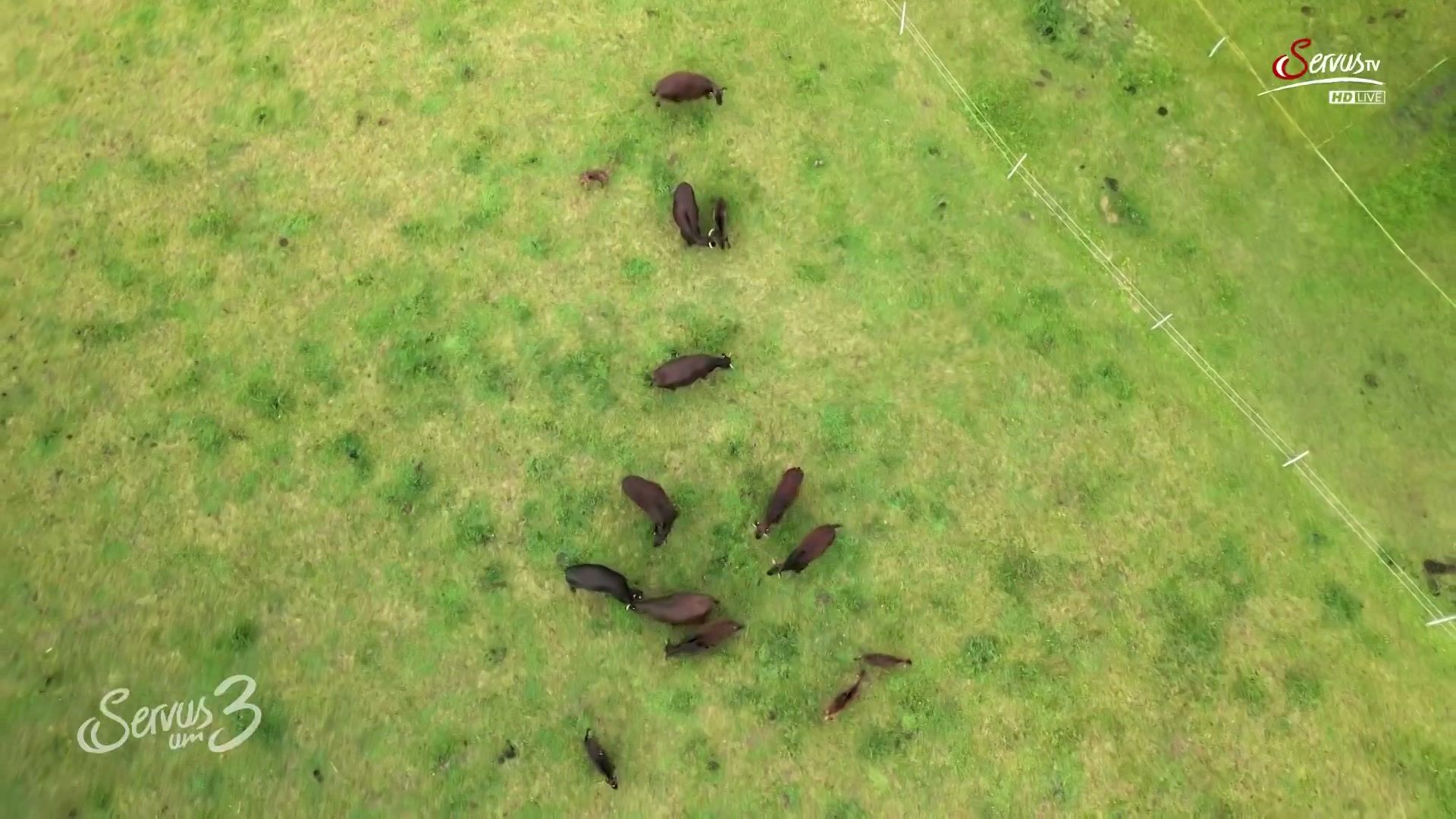 10. April - Servus um 3