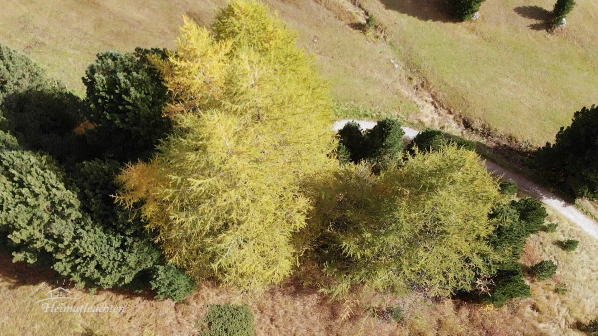 Im ladinischen Herzen der Dolomiten - Herbst im Grödnertal