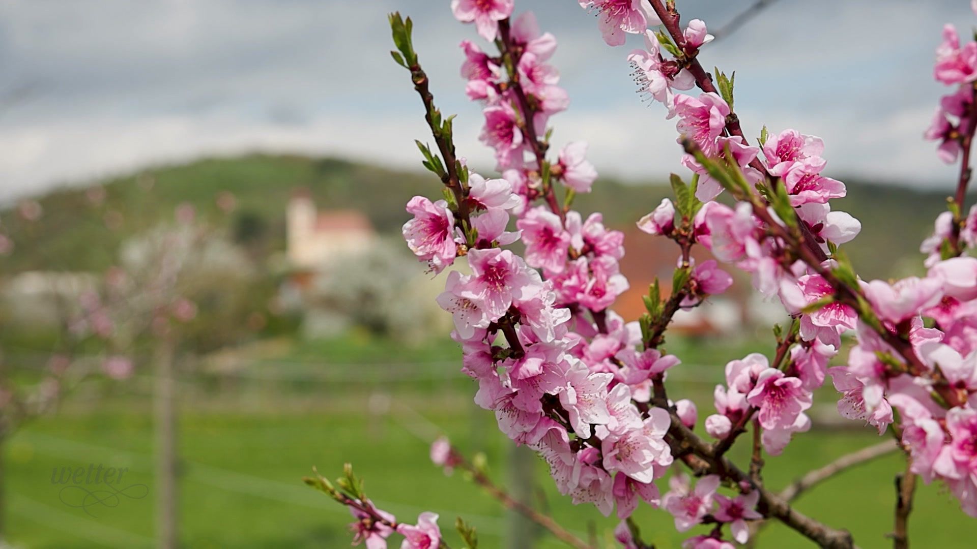 06. April - Servus Wetter