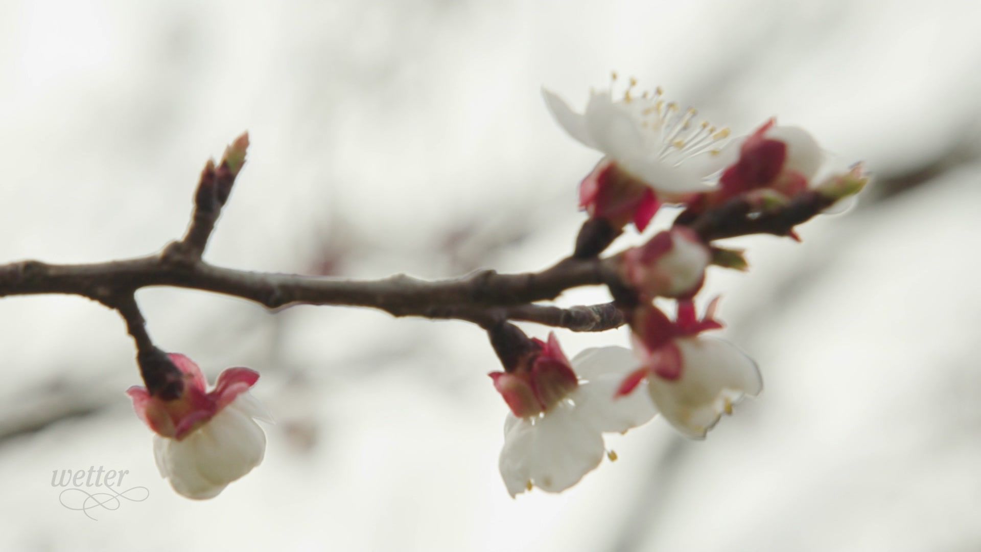 22. März - Servus Wetter