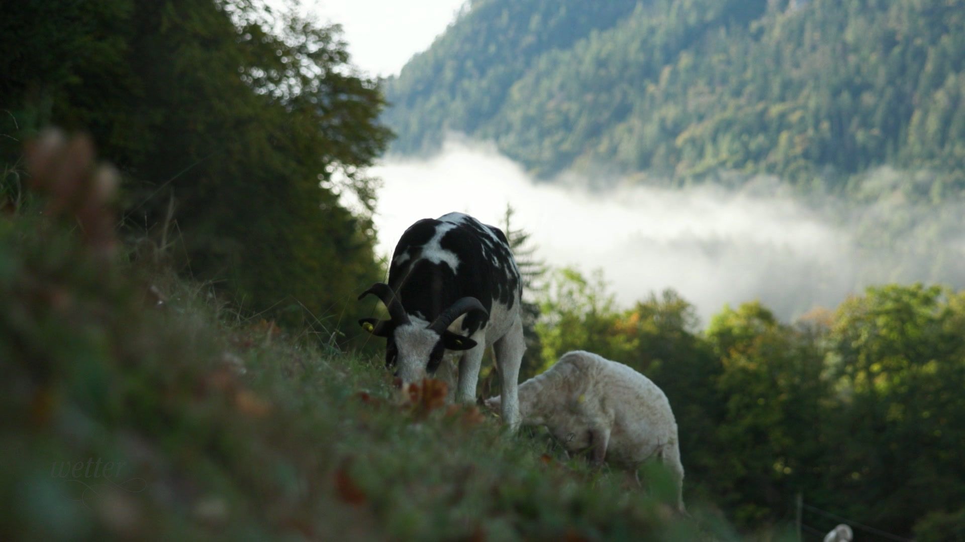 15. Oktober - Servus Wetter