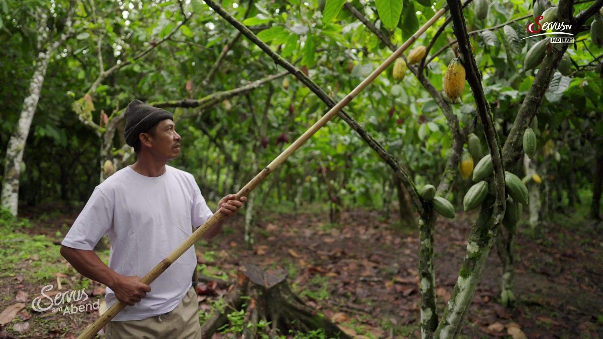 2. April - Servus am Abend
