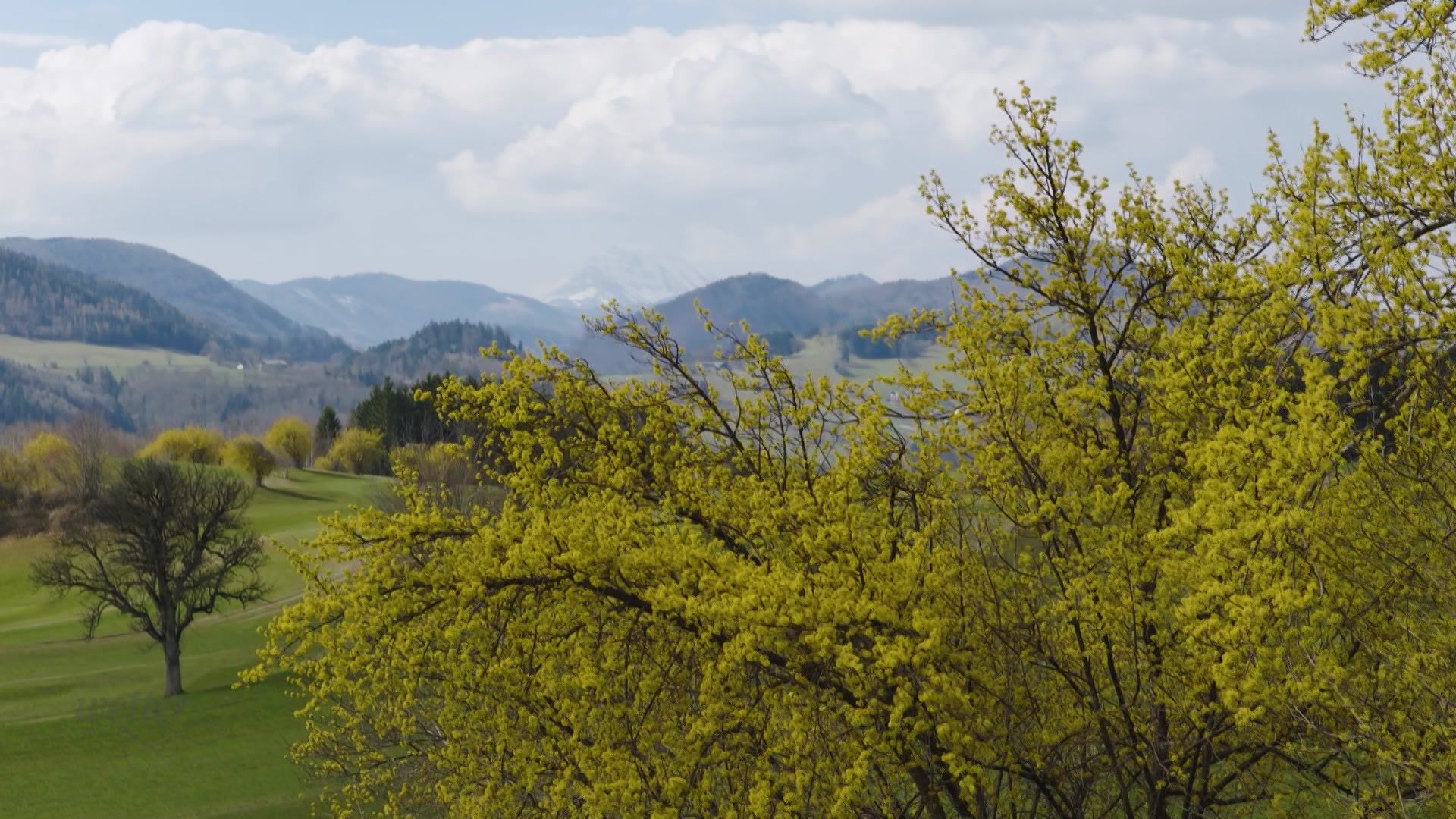 23. März - Servus Wetter