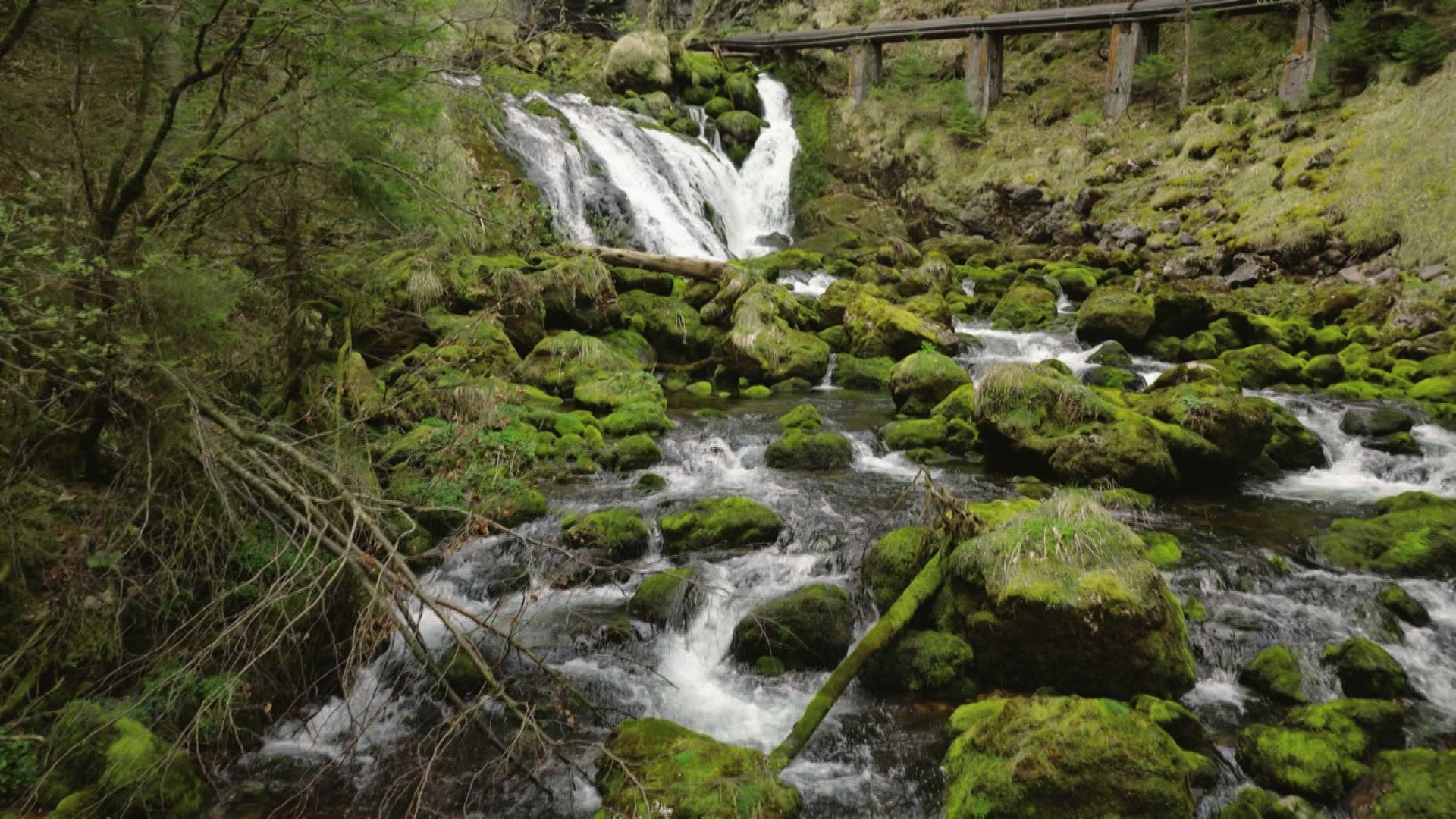 21. April - Servus Wetter