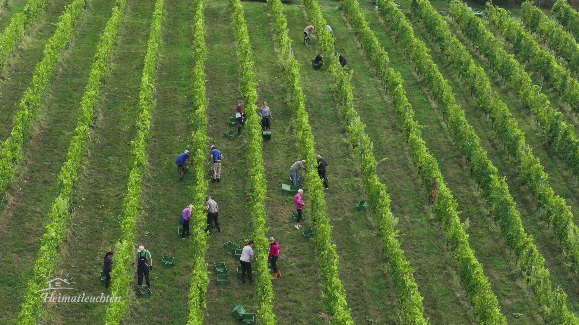 Zwischen Tradition und Zukunft - durch die Südsteiermark mit Richard Deutinger
