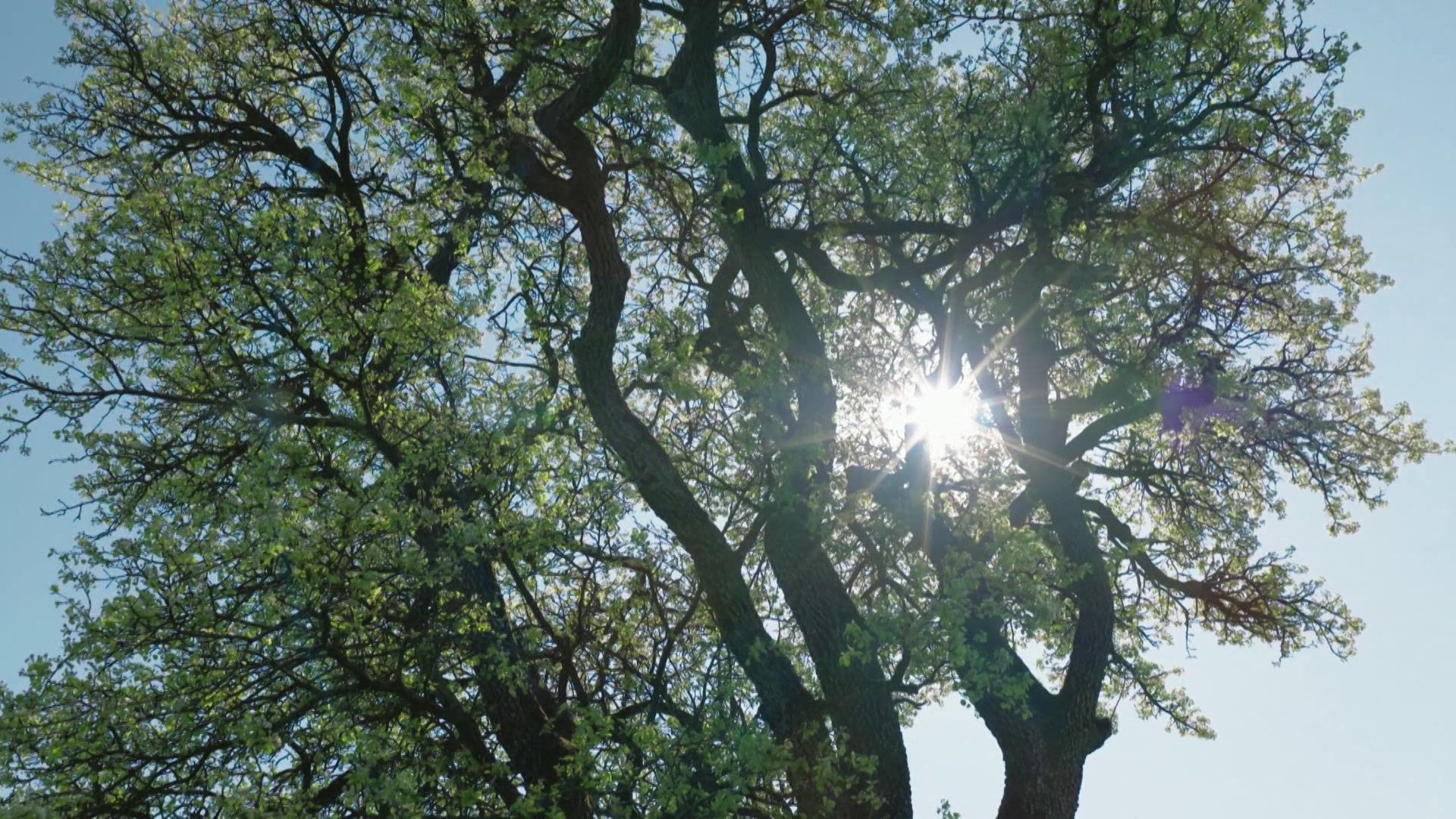 18. April - Servus Wetter