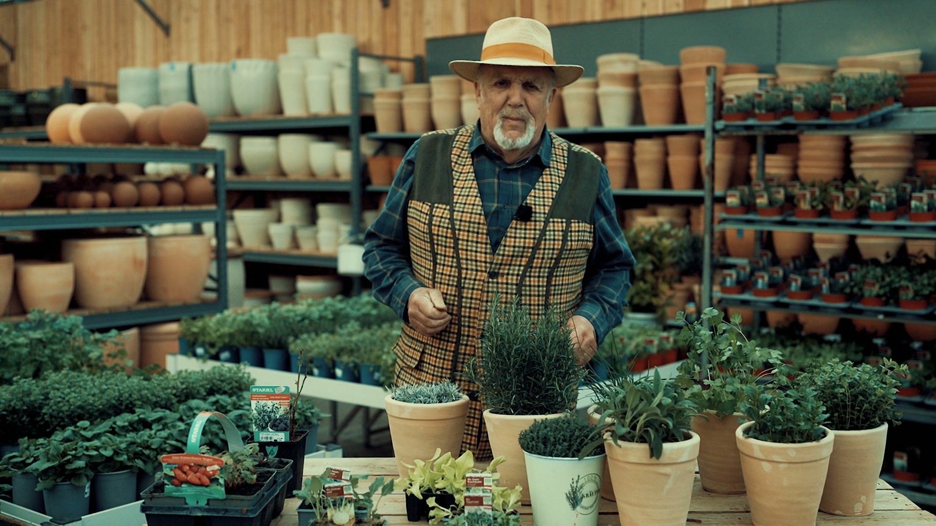 Garten-Tipps von Josef Starkl: Rasenpflege und Gemüse