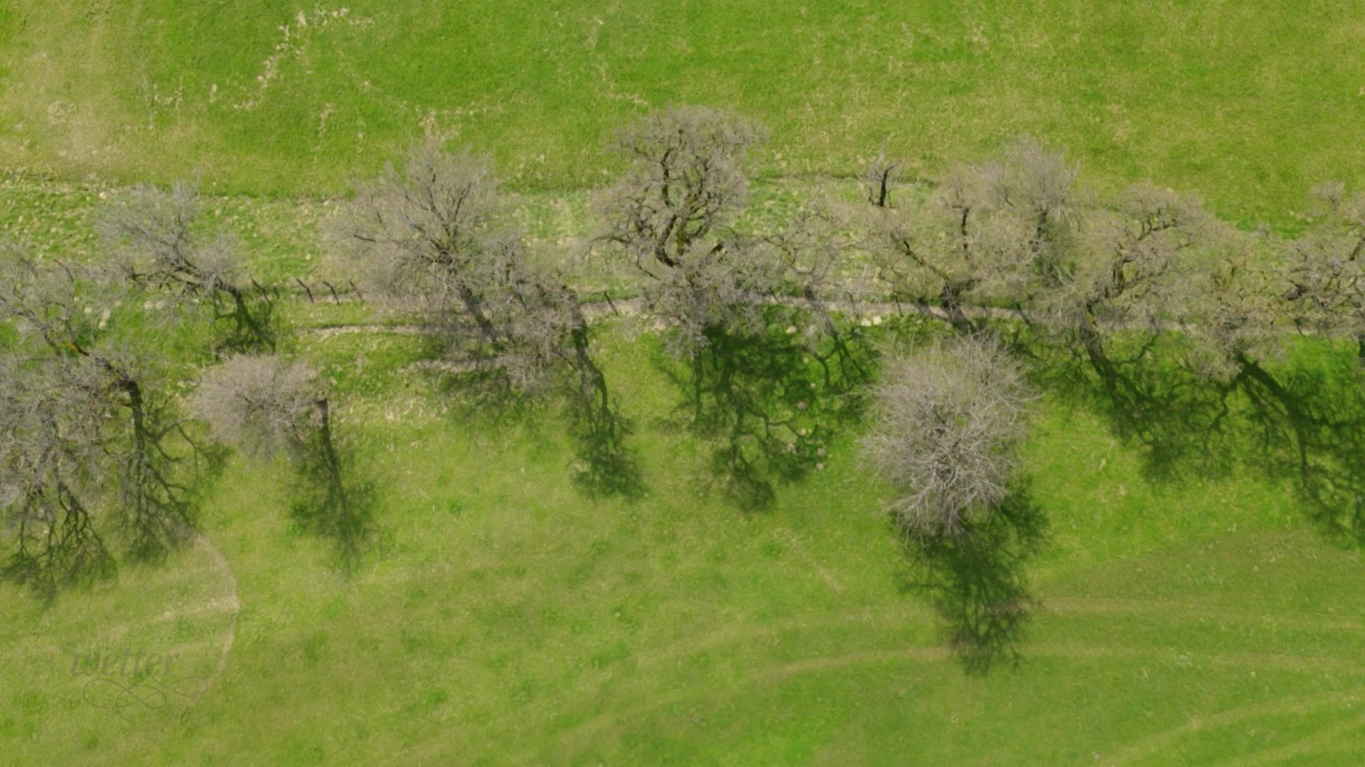 25. März - Servus Wetter