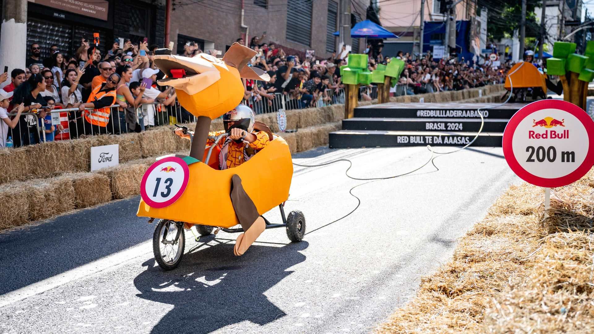 Red Bull Seifenkistenrennen: Top 50 Designs