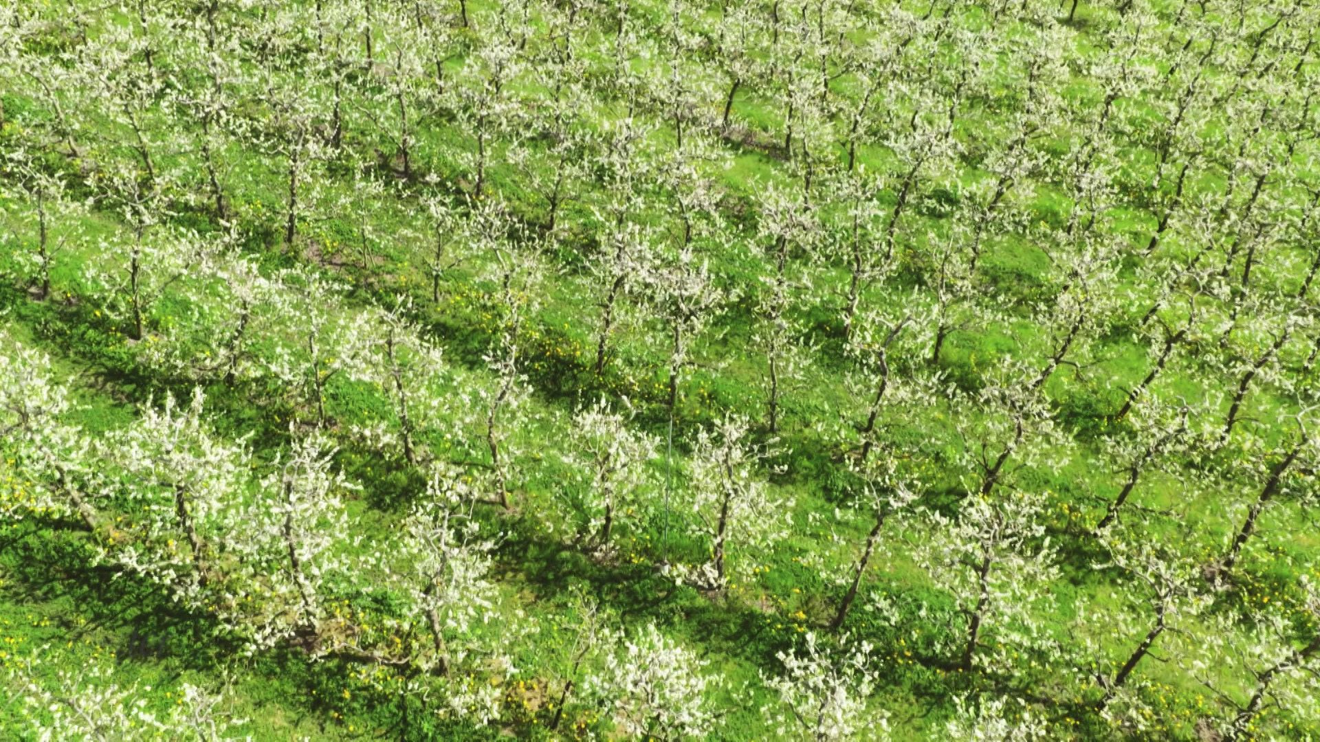 16. April - Servus Wetter