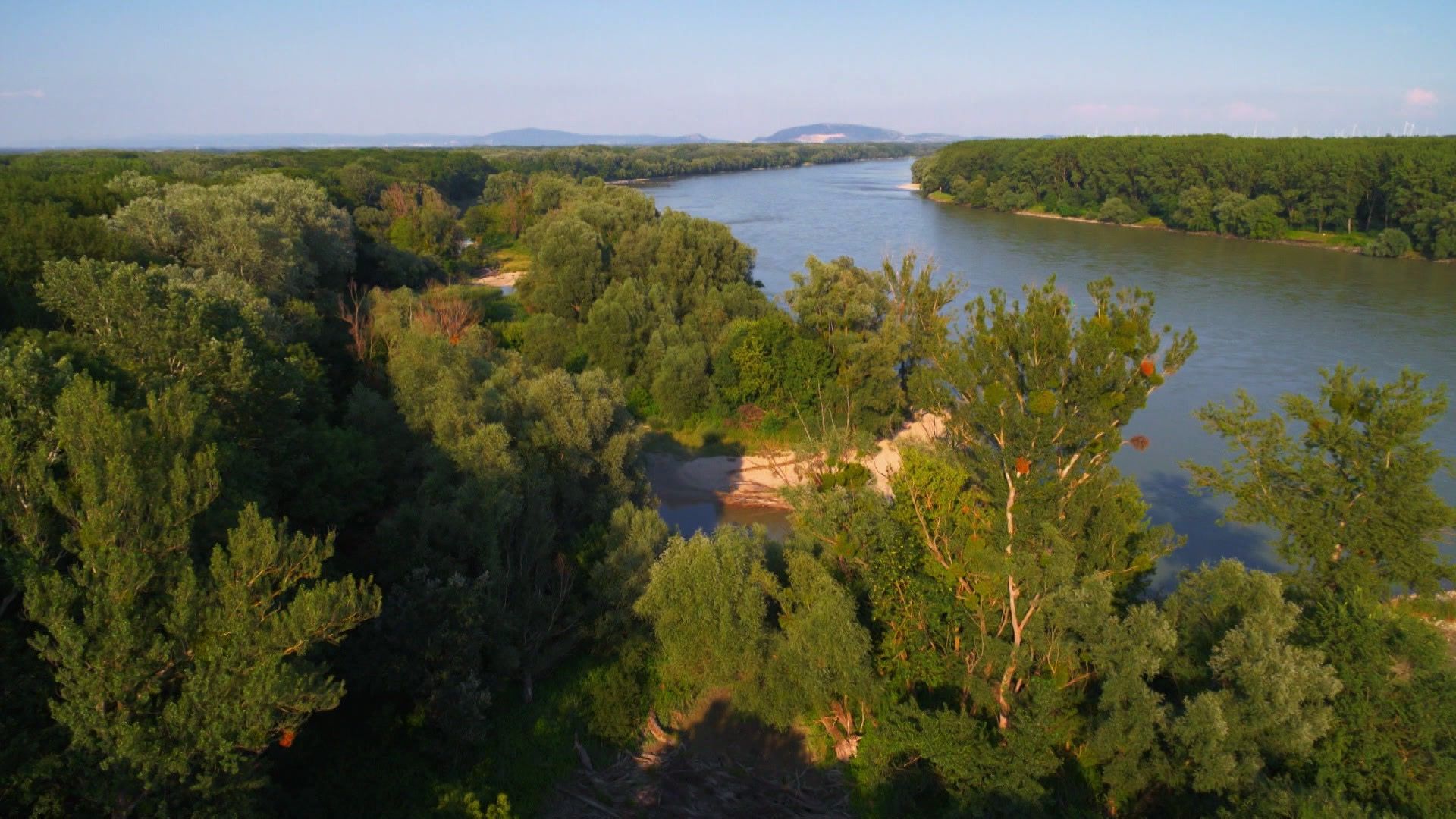 Leben in den Donauauen