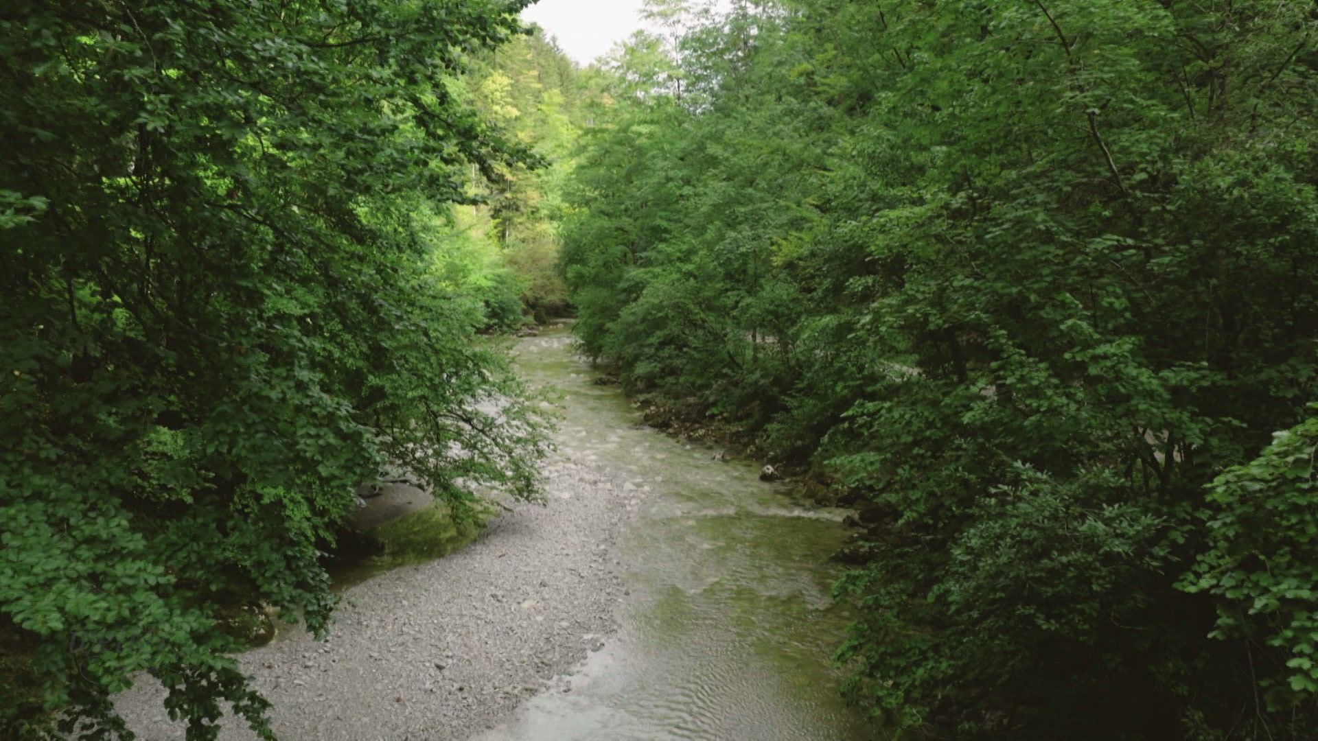 07. August - Servus Wetter