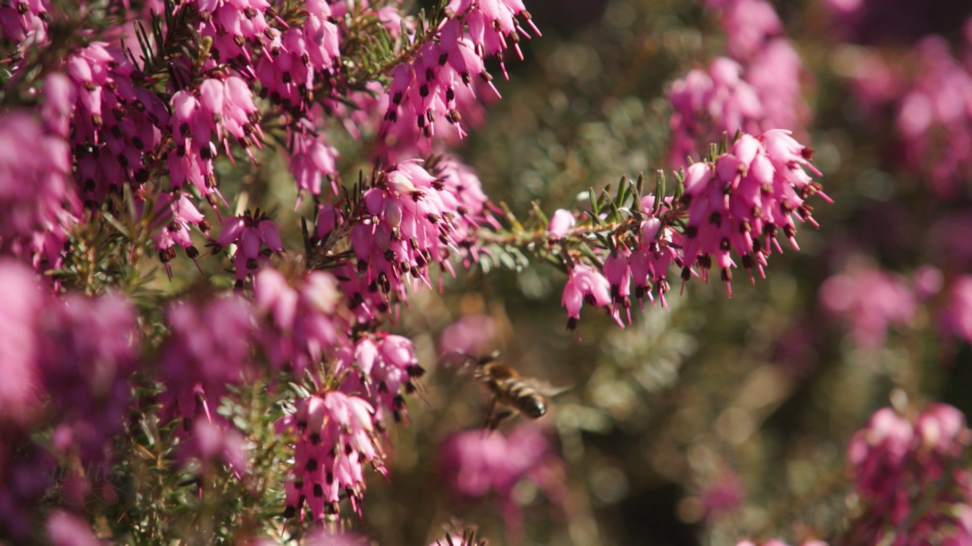07. April - Servus Wetter