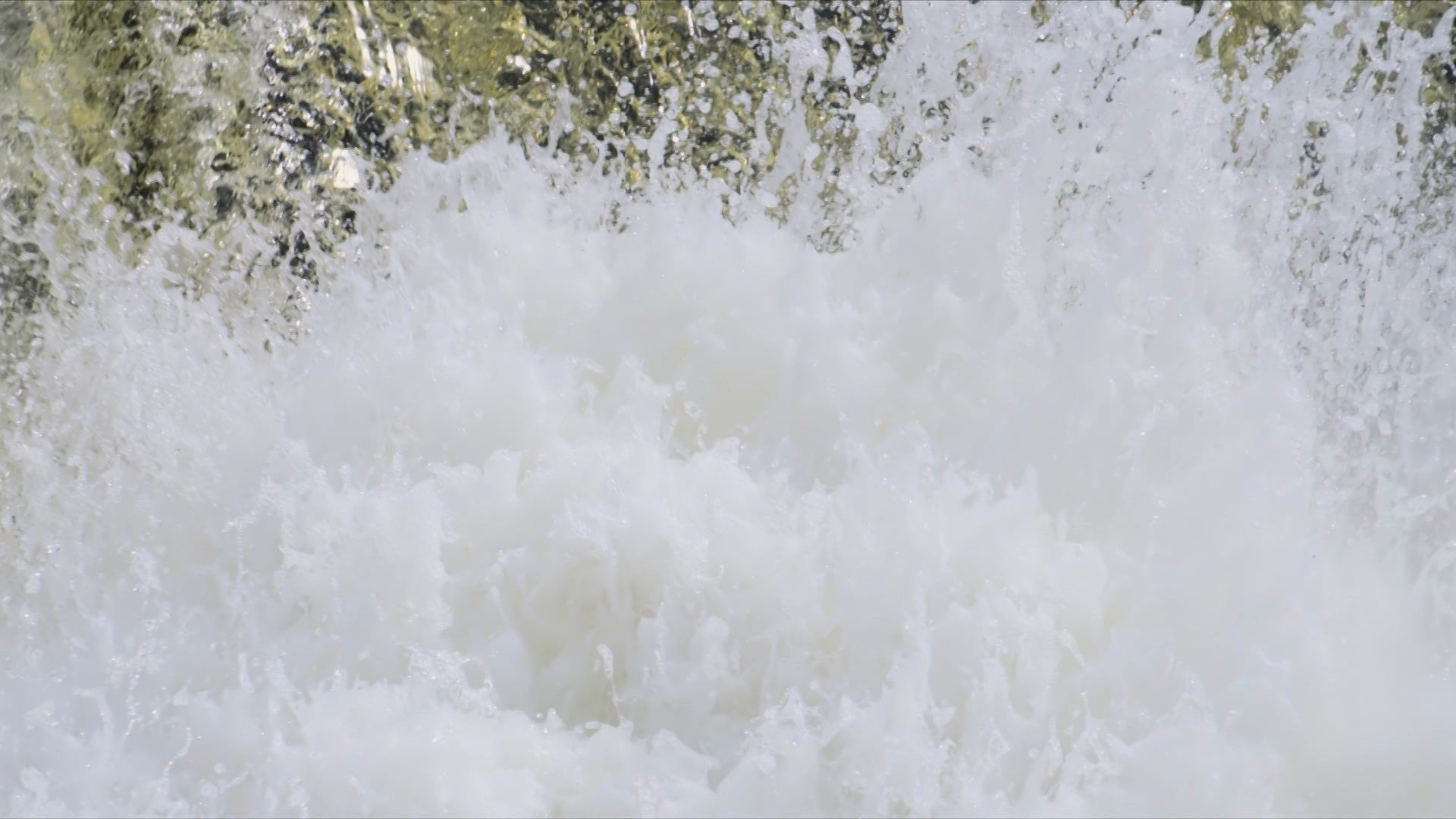 Wildnis Oslo - Ein Hafen für Tiere