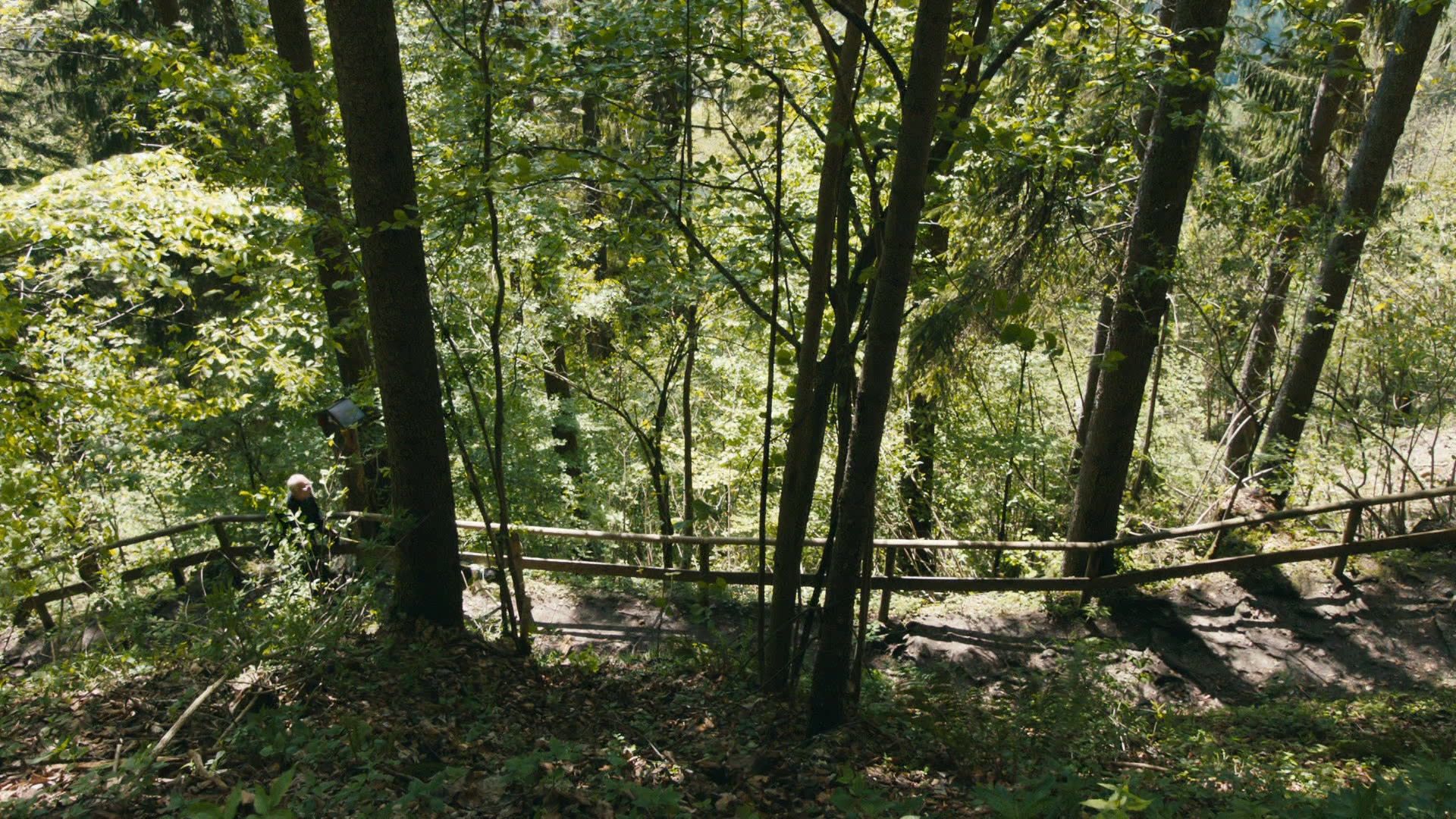 Der Einsiedler