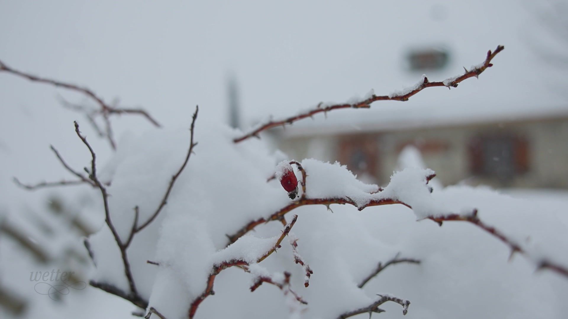 26. März - Servus Wetter