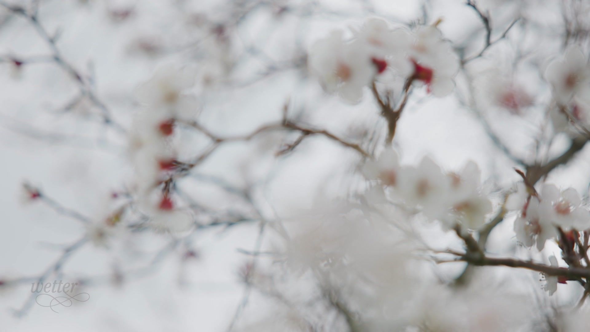 01. April - Servus Wetter