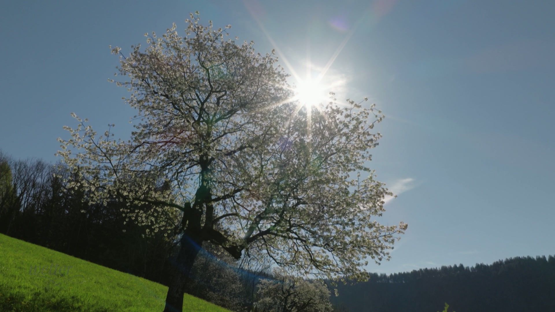 17. April - Servus Wetter