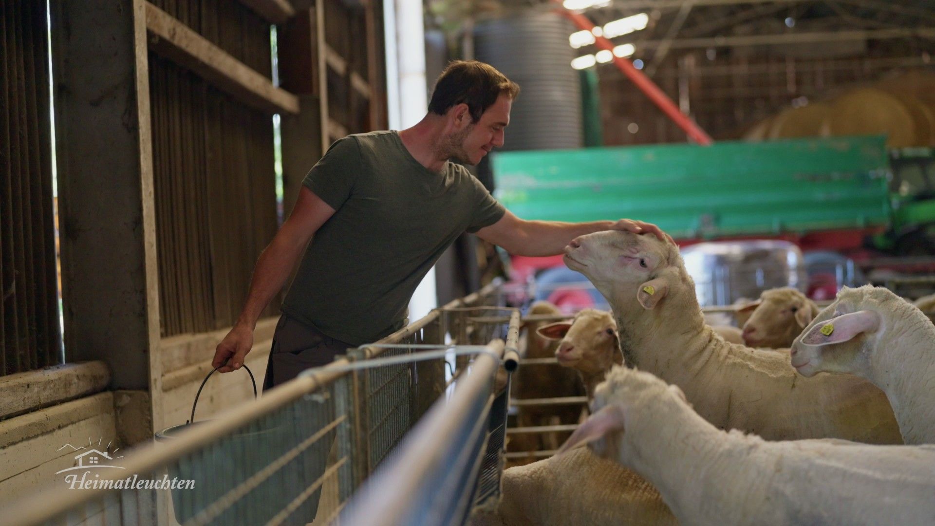 Zwischen Feld und Followern: Influencer in der Landwirtschaft