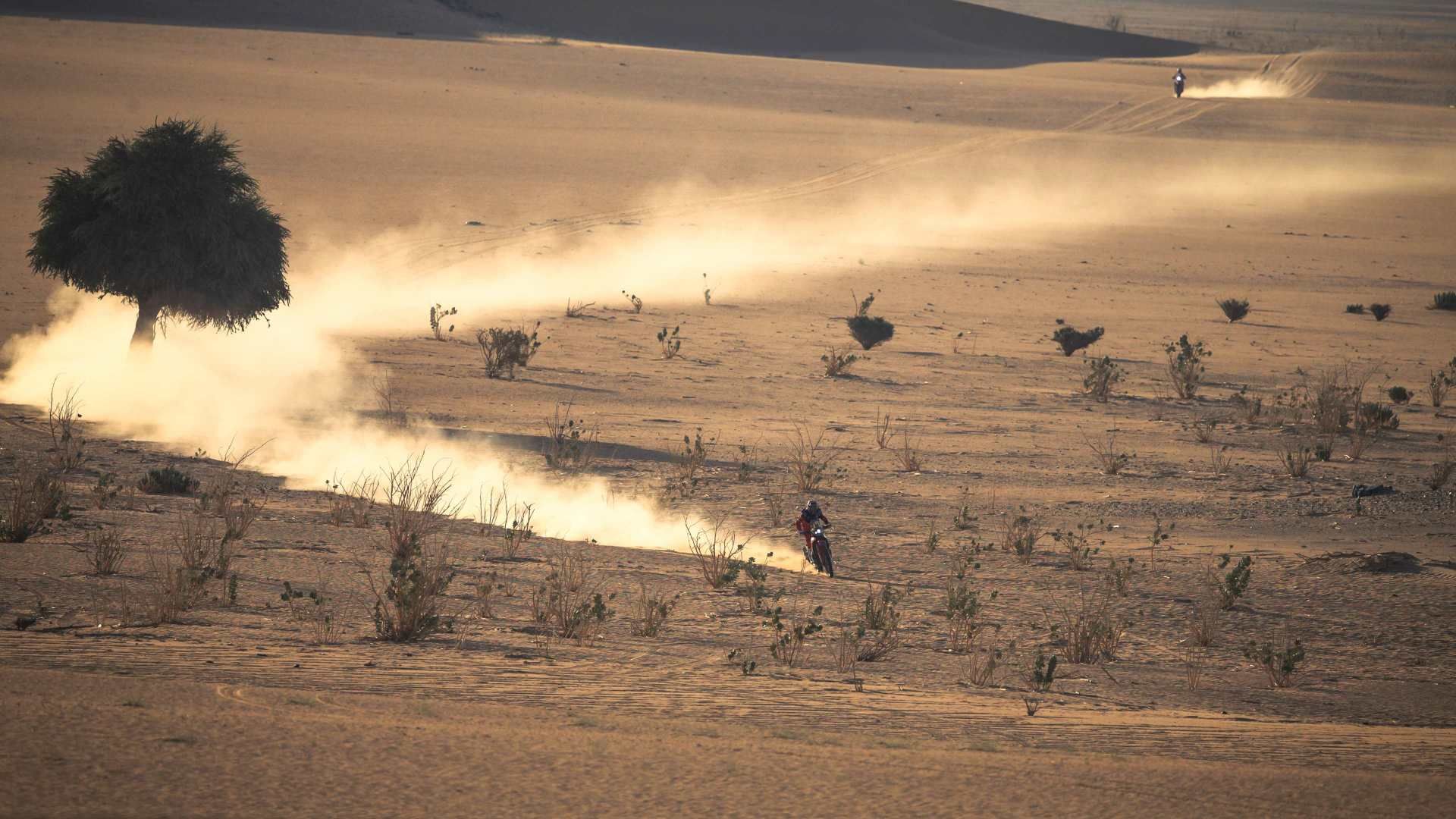 Rallye: Wer wird Champion in Dakar