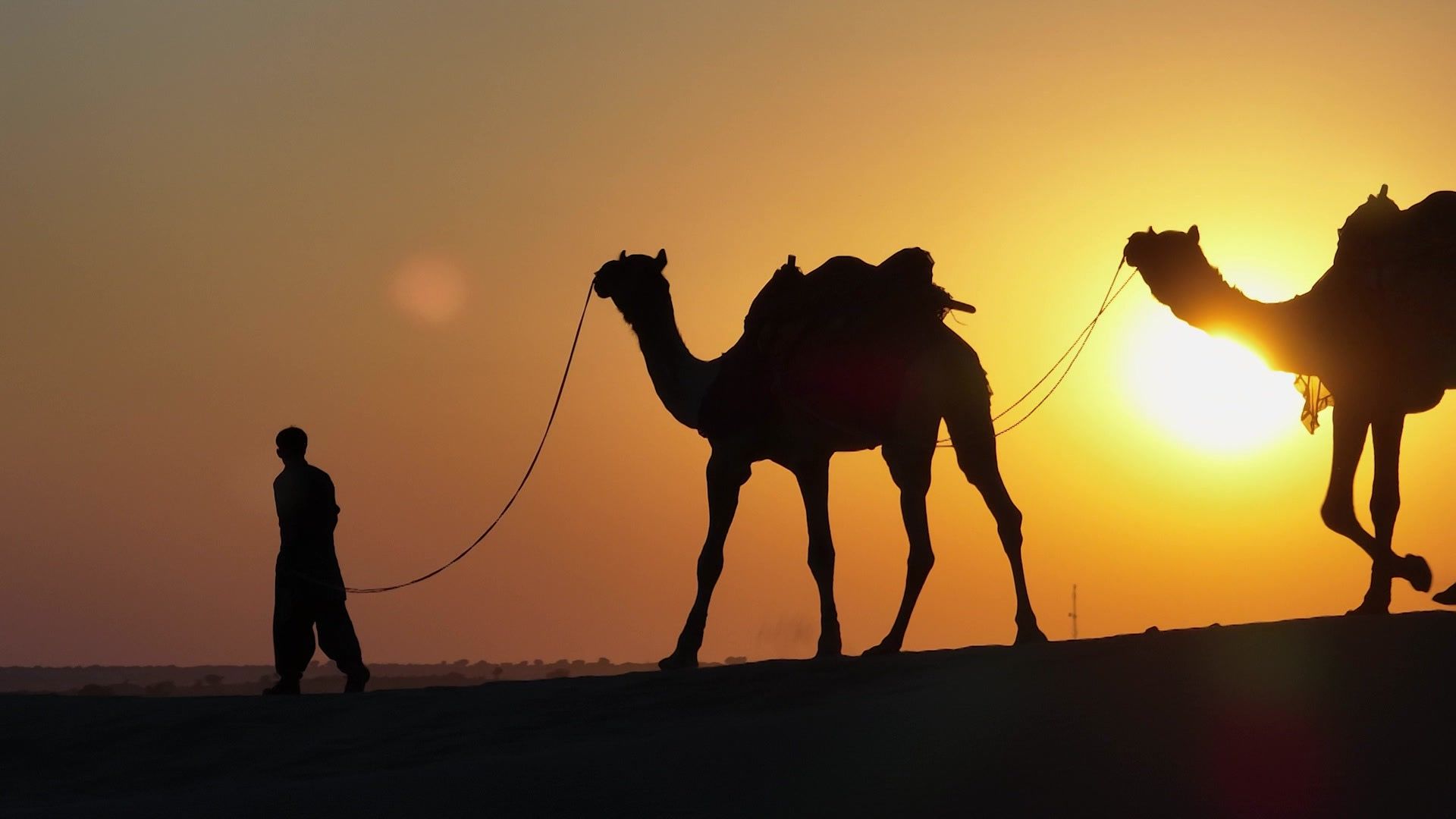 Mit Kamelen und Trucks durch Rajasthan