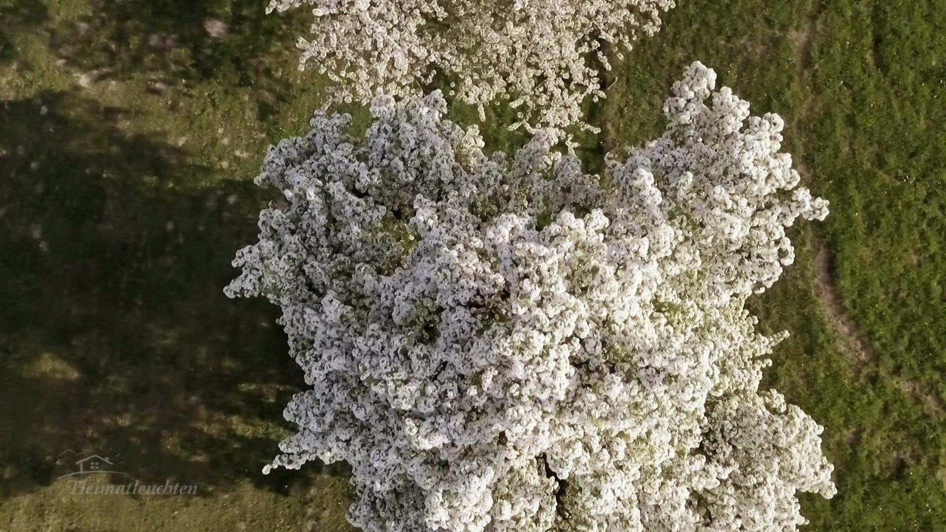 Blüten, Birnen und Barone - Das Mostviertel