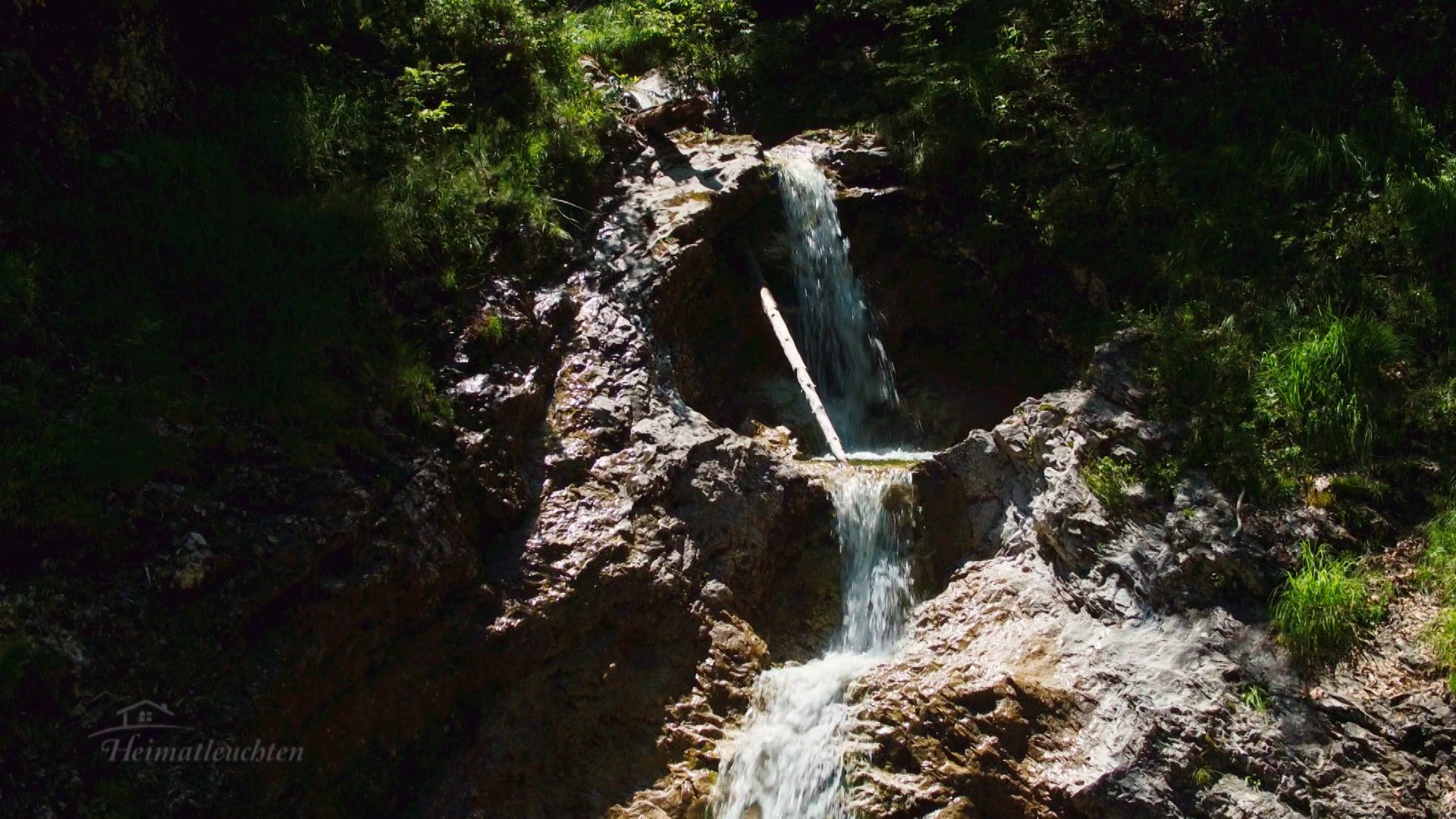 Unsere Nationalparks - Die Kalkalpen
