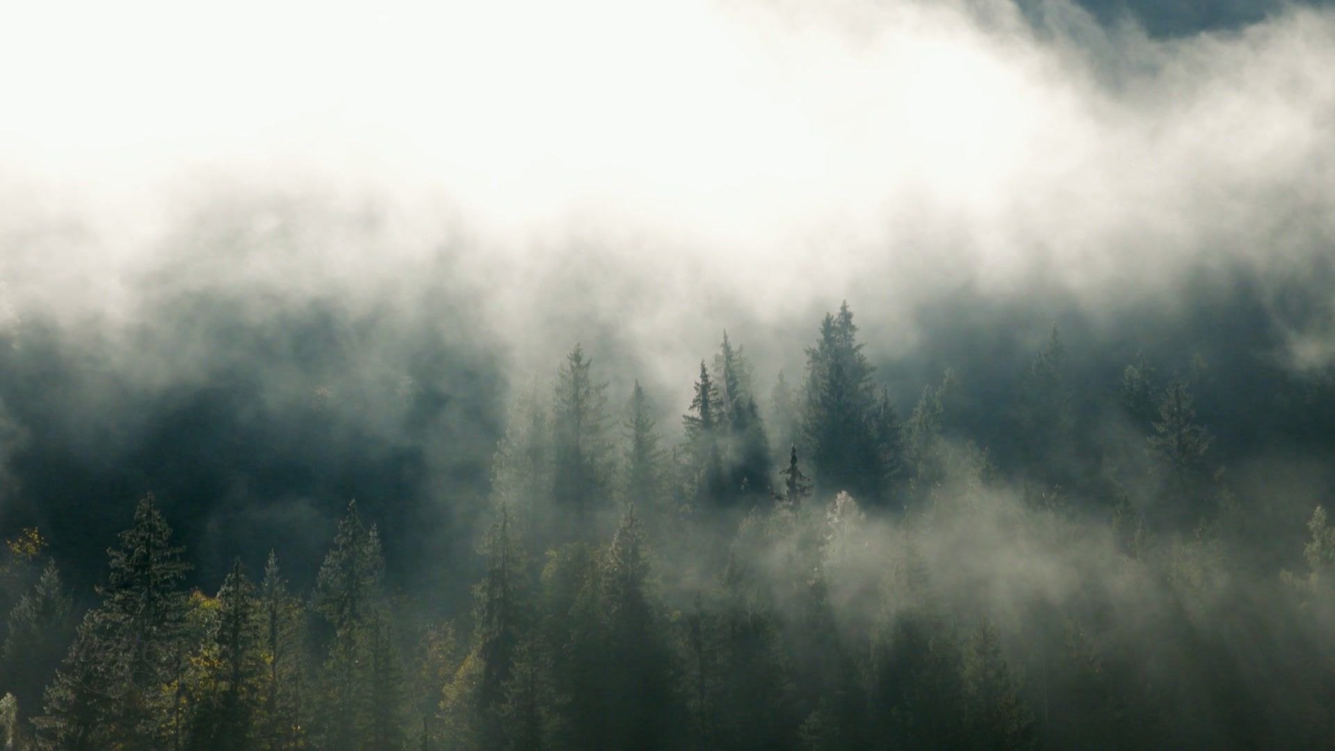 16. Oktober - Servus Wetter