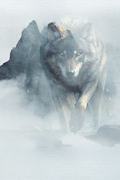 Das Märchen vom guten Bösen Wolf (1)