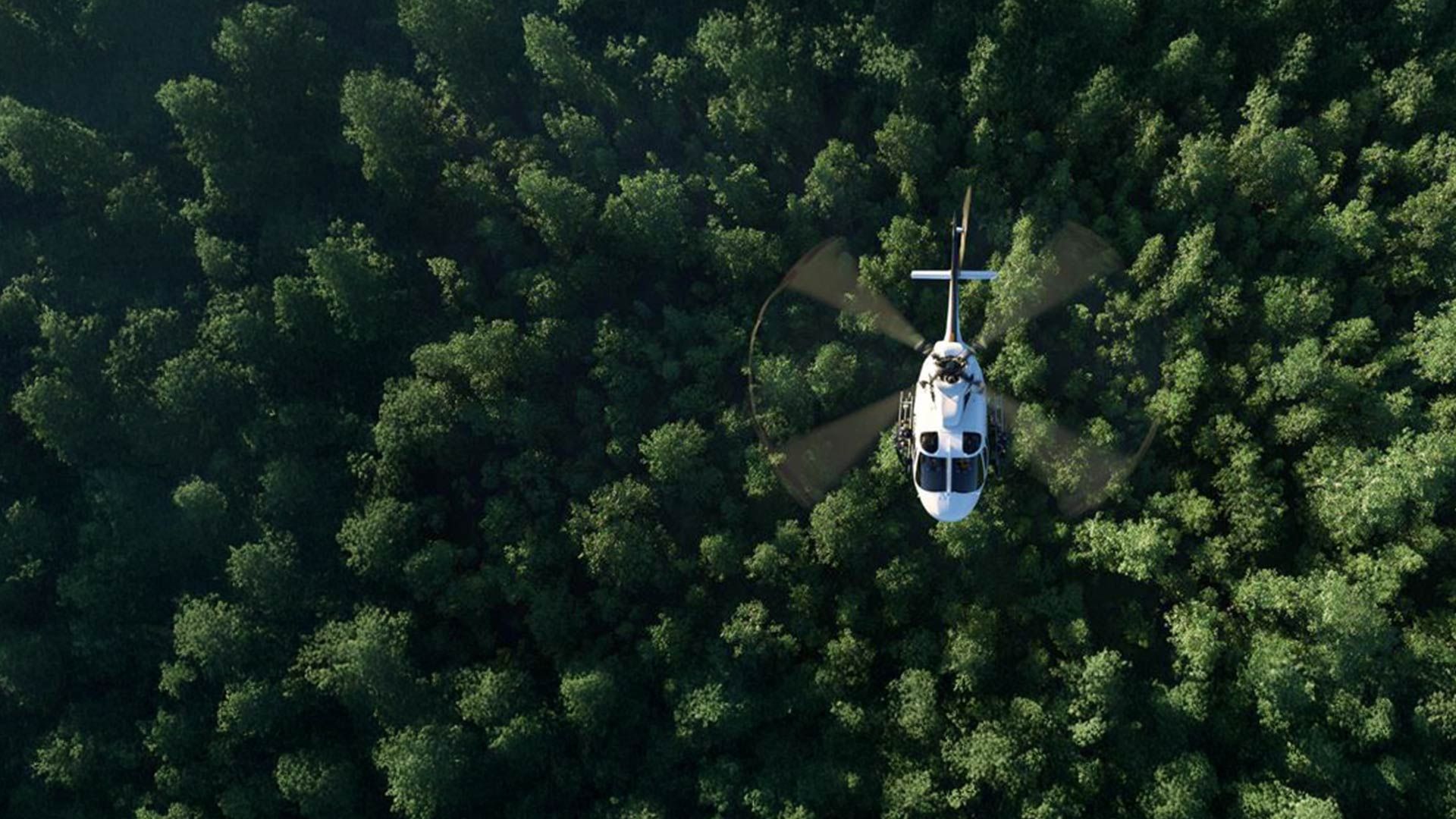Senkrechtstarter - Die Alleskönner am Himmel