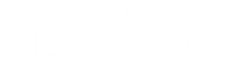 Airport Security USA