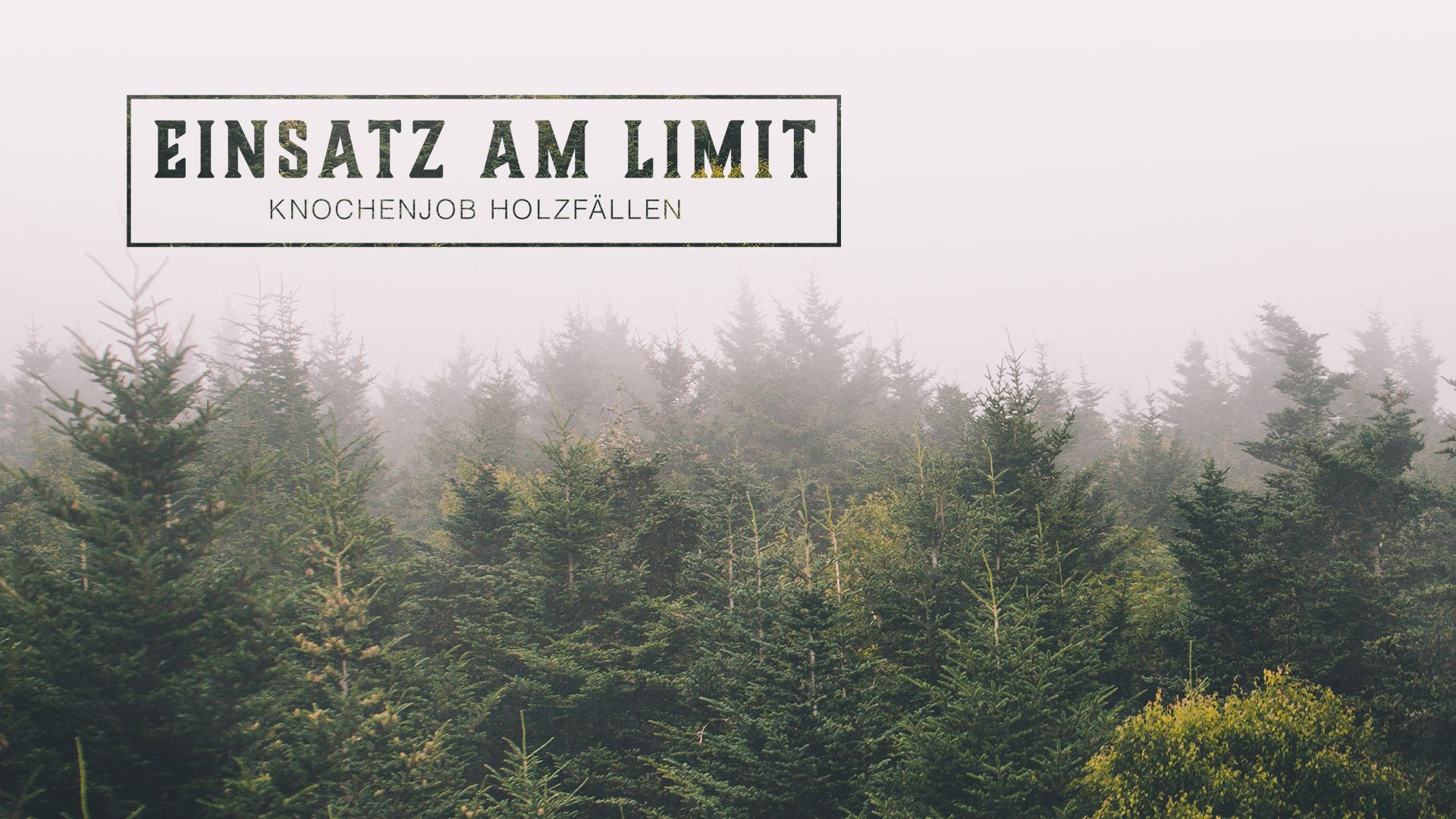 Einsatz am Limit - Knochenjob Holzfällen