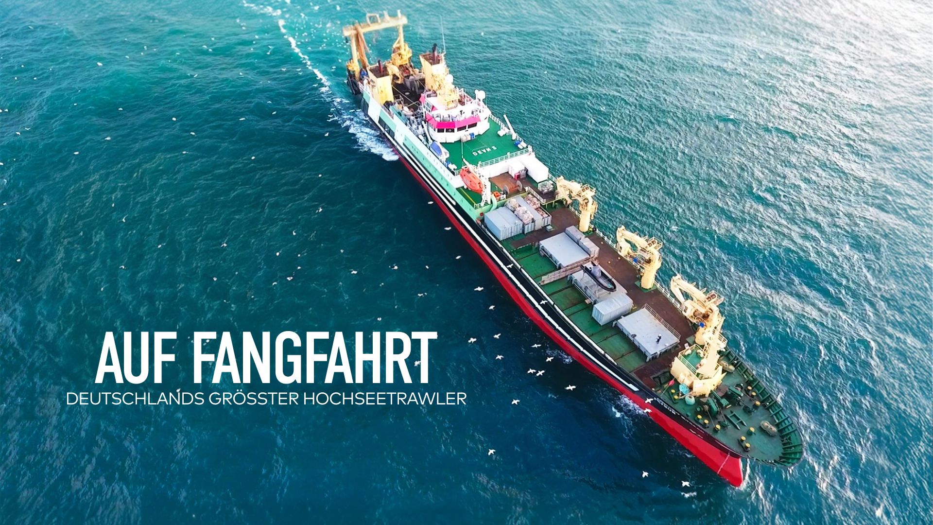 Auf Fangfahrt - Der Hochseetrawler
