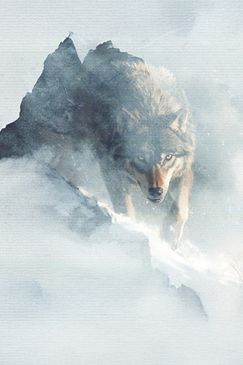 Das Märchen vom guten Bösen Wolf (2)