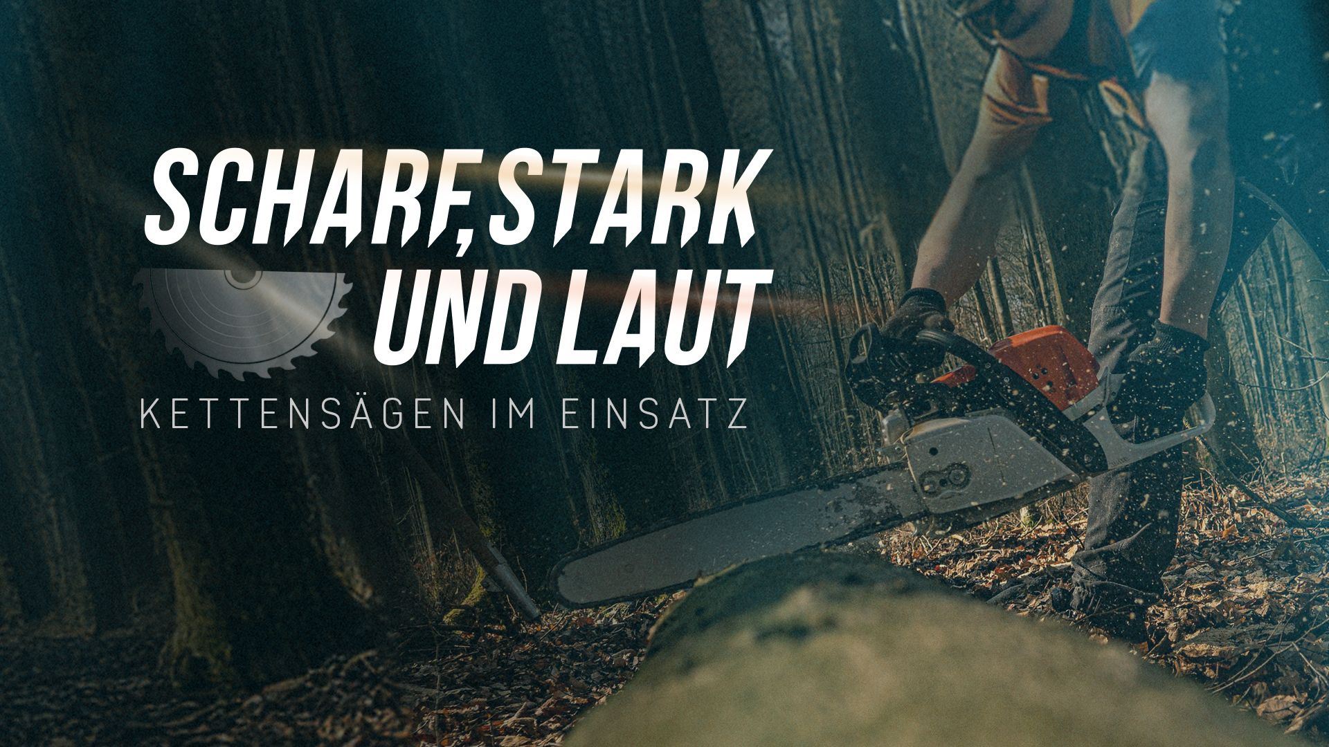 Scharf, stark und laut - Kettensägen im Einsatz
