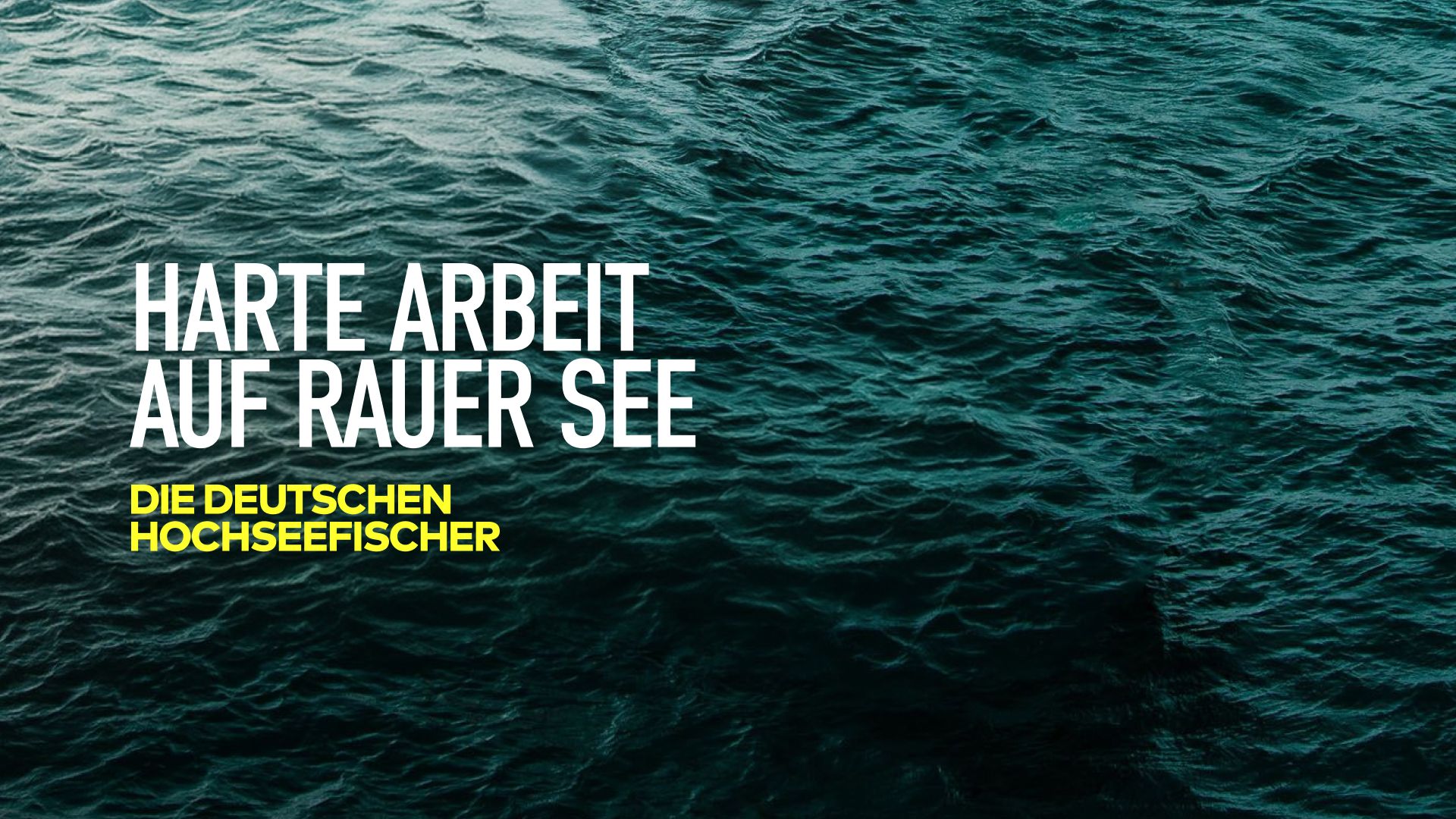 Harte Arbeit auf rauer See - Die deutschen Hochseefischer