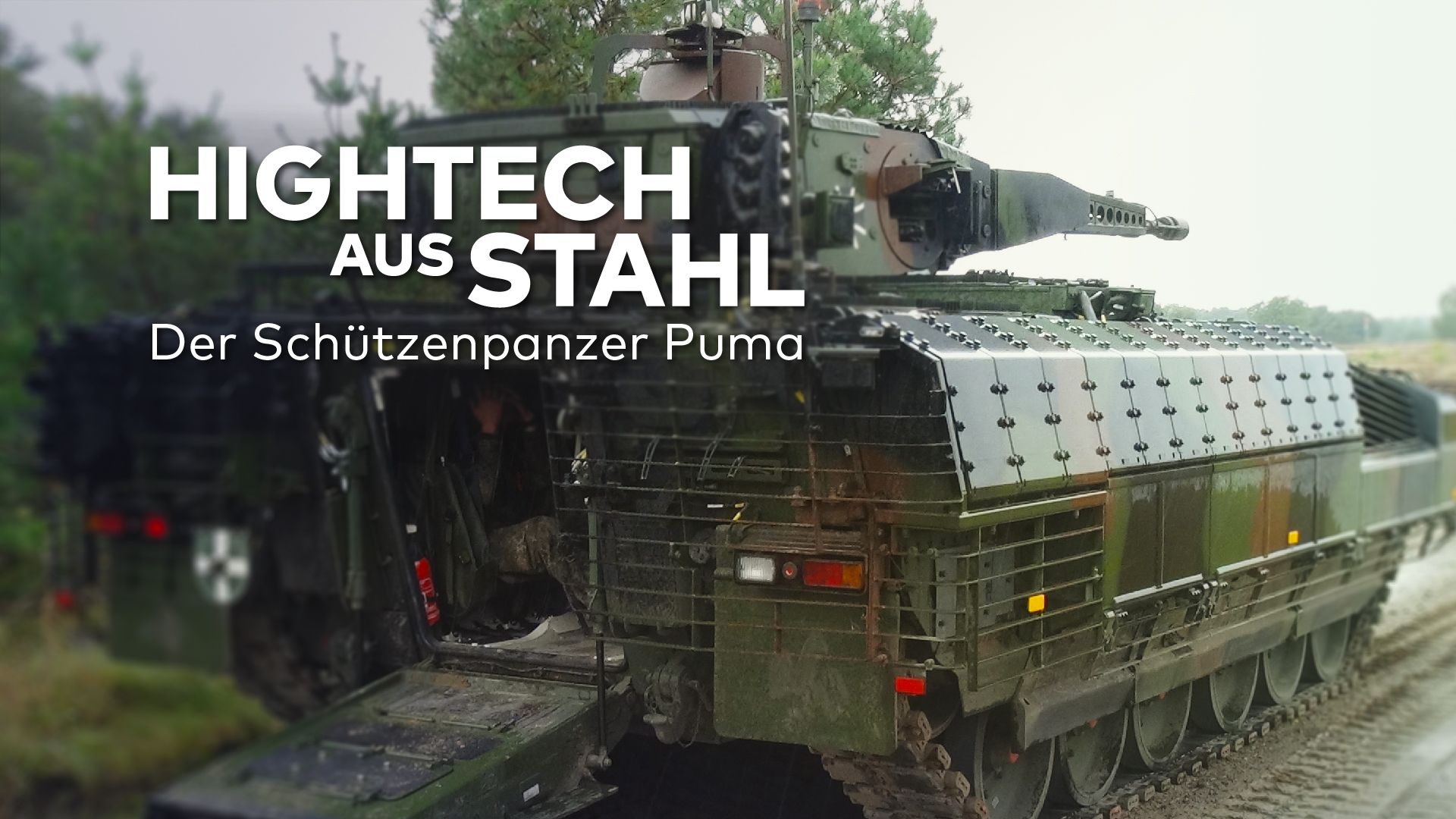 Der Puma - Raubkatze aus Stahl