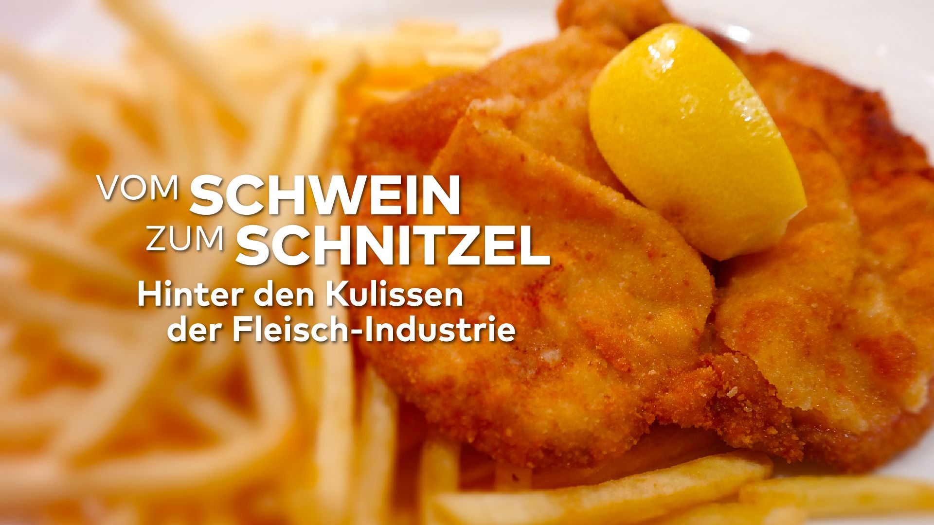 Vom Schwein zum Schnitzel - Hinter den Kulissen der Fleischindustrie