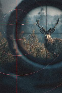 Auf der Pirsch – Wiese, Wald und Waidmannsdank