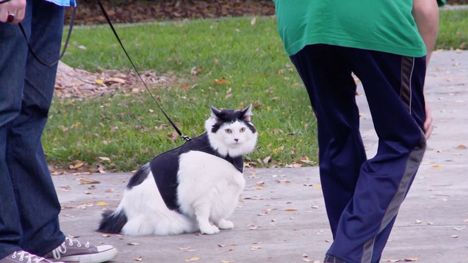 Ein Foto für Buster