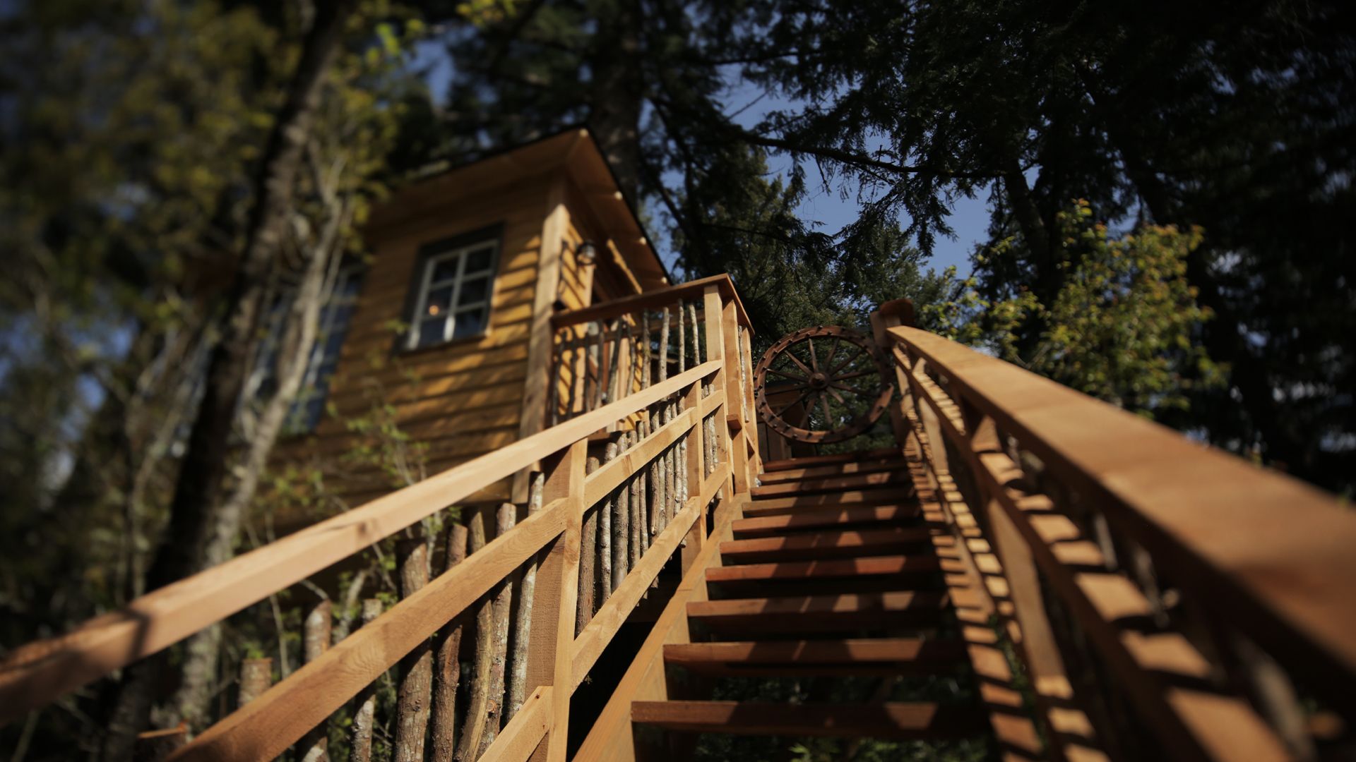 Das Wild-West-Baumhaus