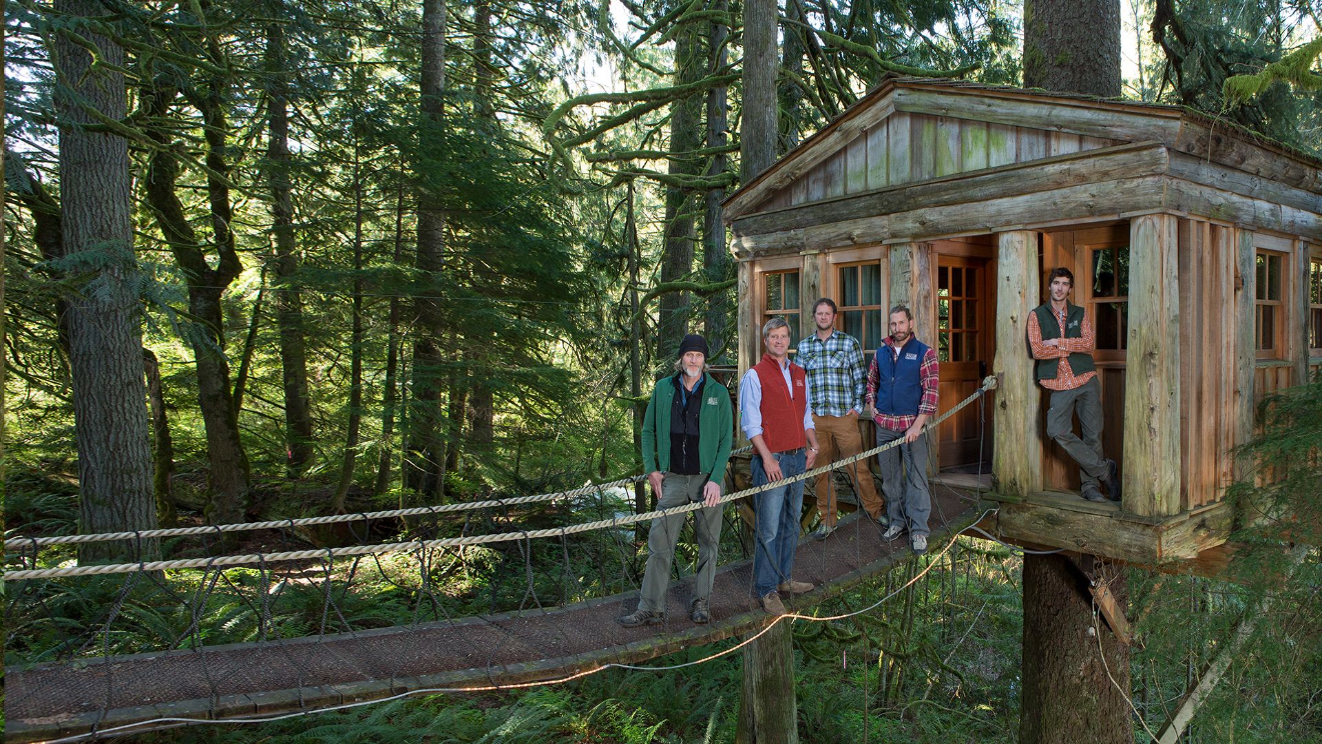 Die Baumhaus-Profis
