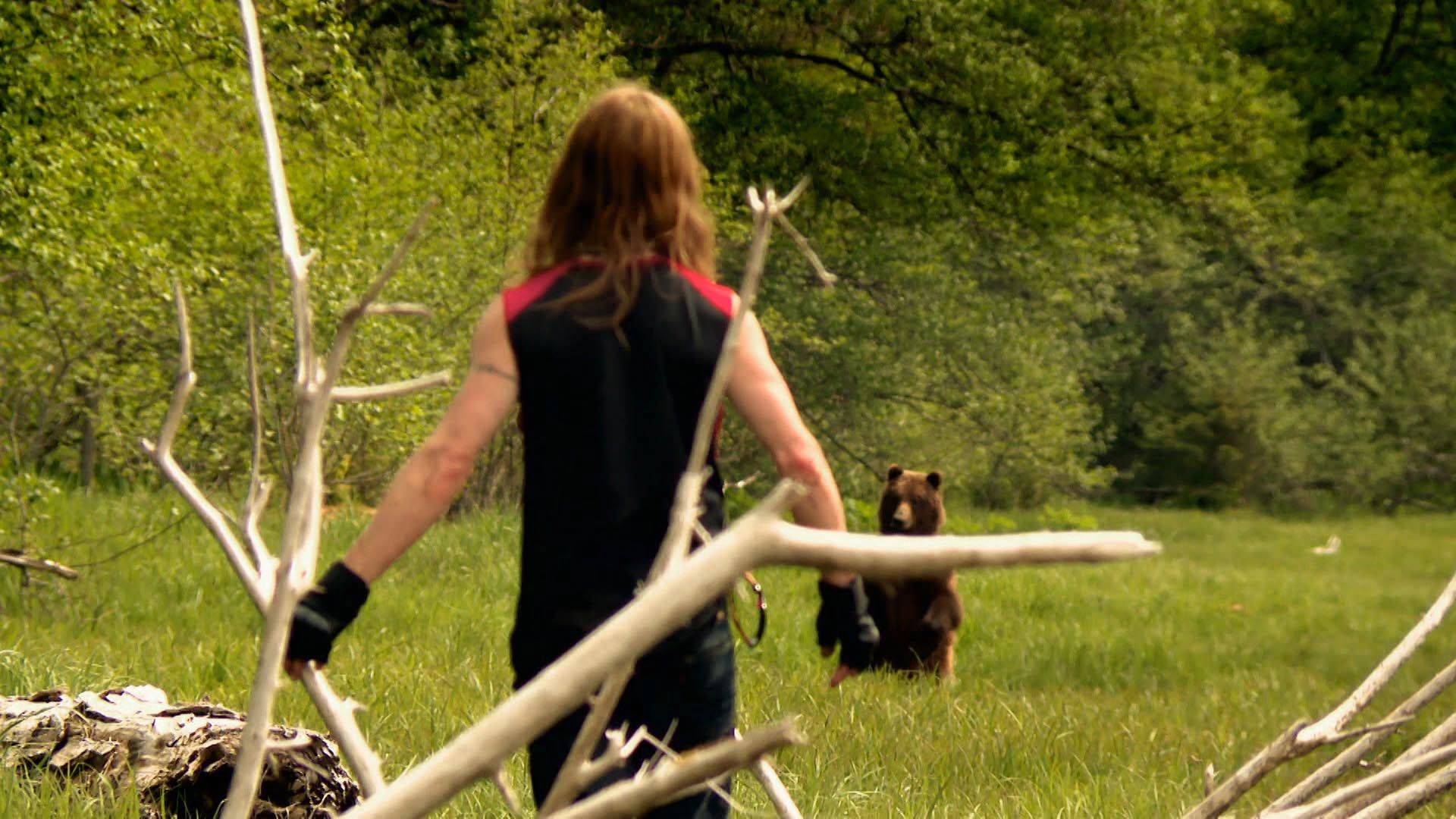 Ein Wolf kommt selten allein