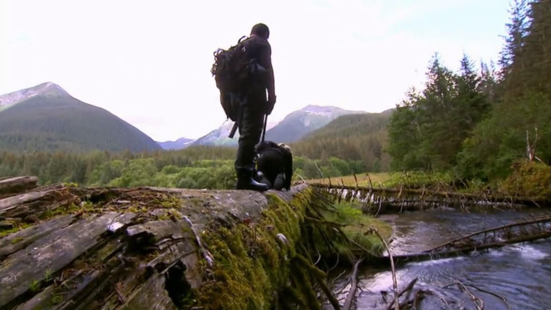 Alaskas Gletschergipfel