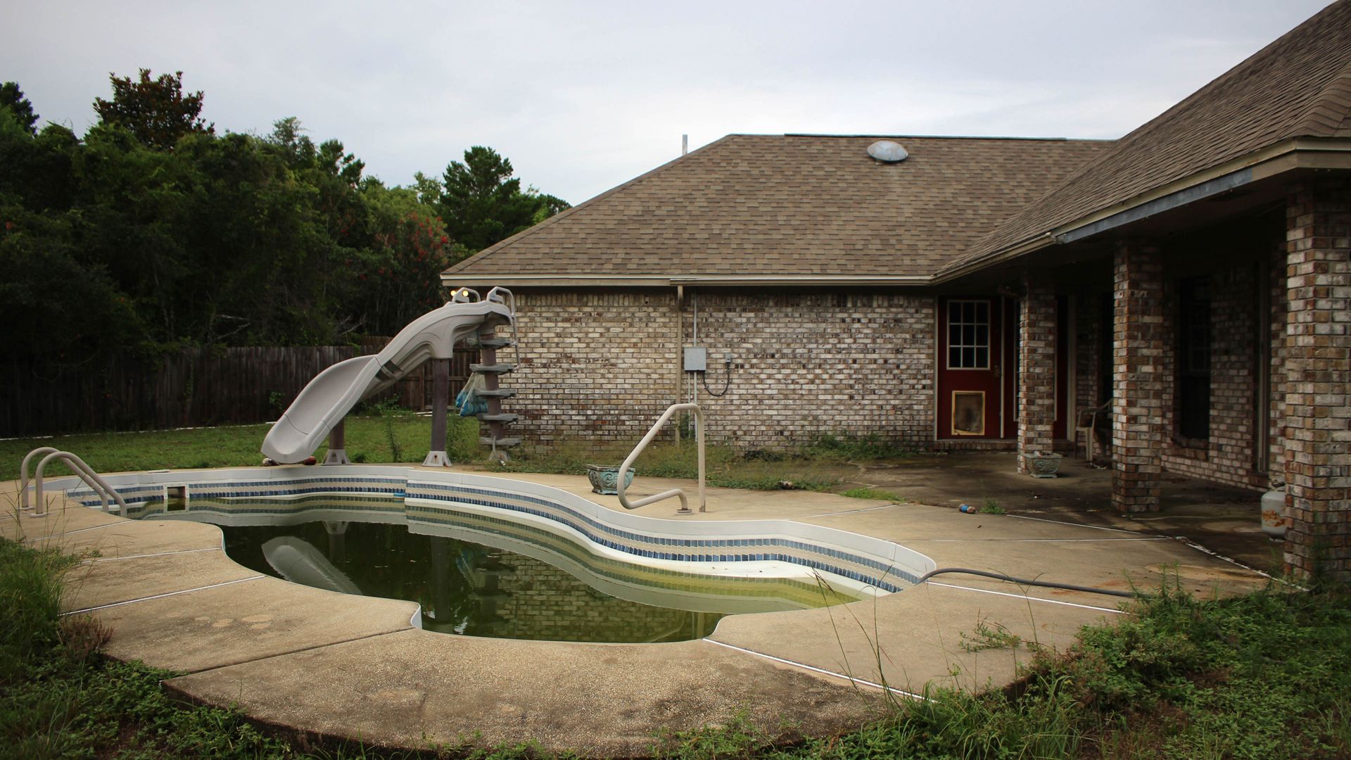 Zwei Profis im Einsatz