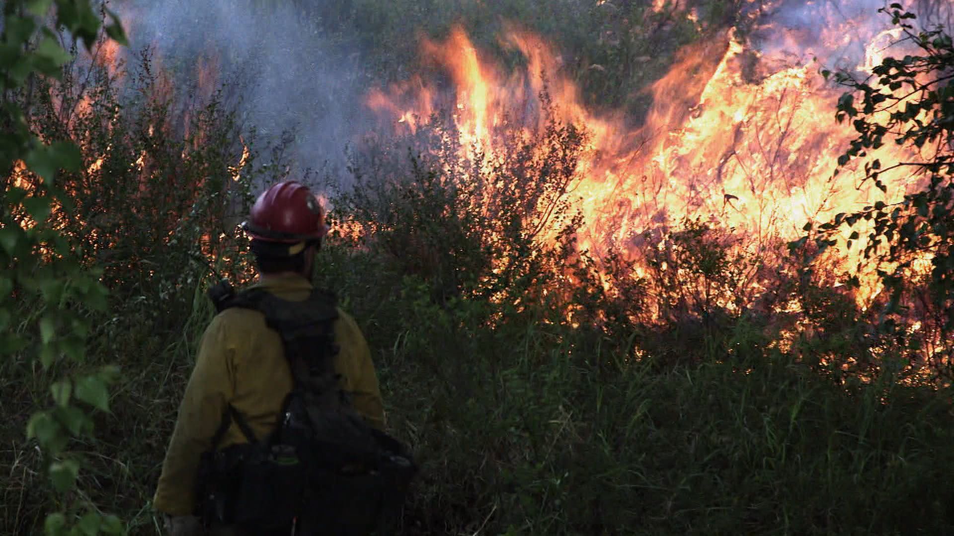Der letzte Widerstand