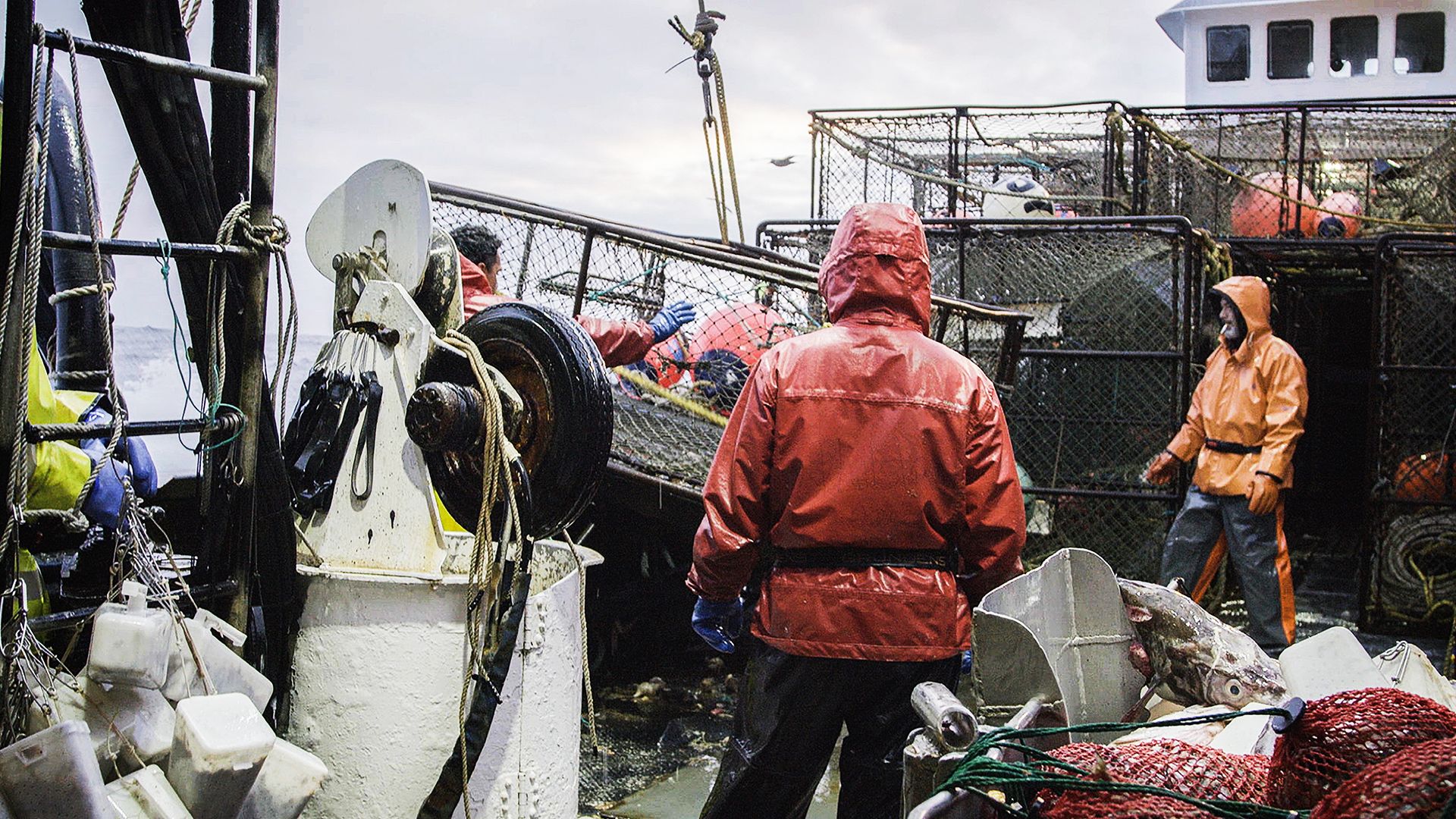 In den Fußstapfen von Phil Harris
