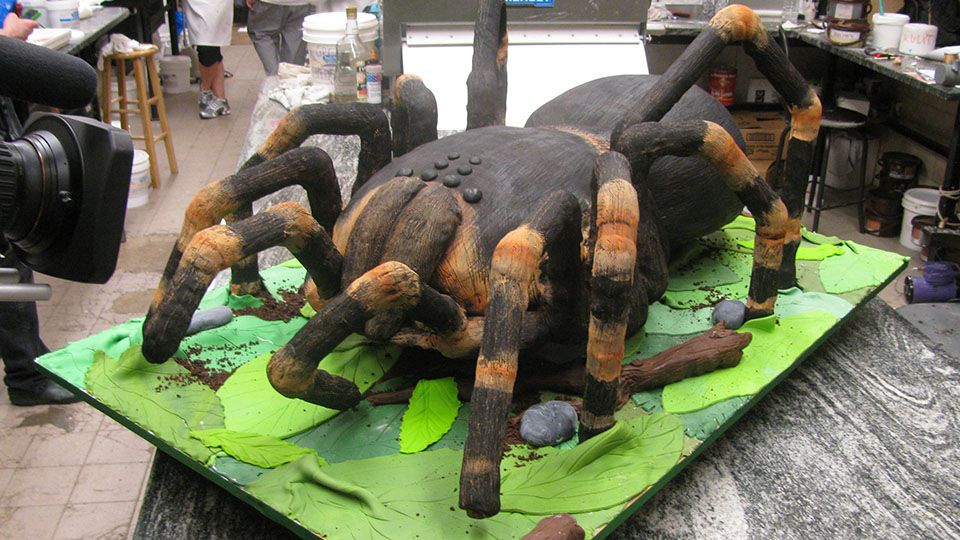 Von der Tarantel gestochen