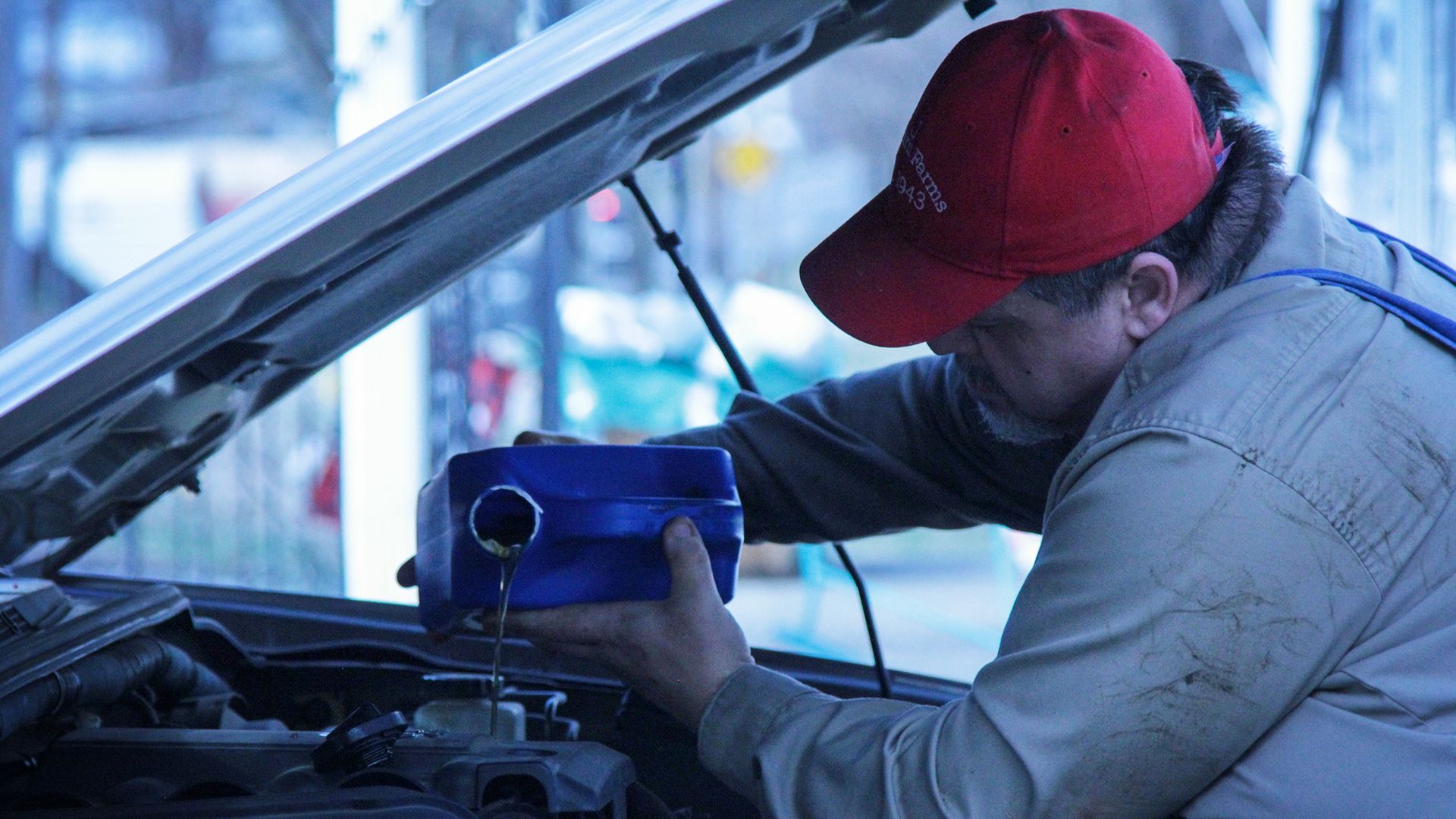 Tammy darf nach Hause